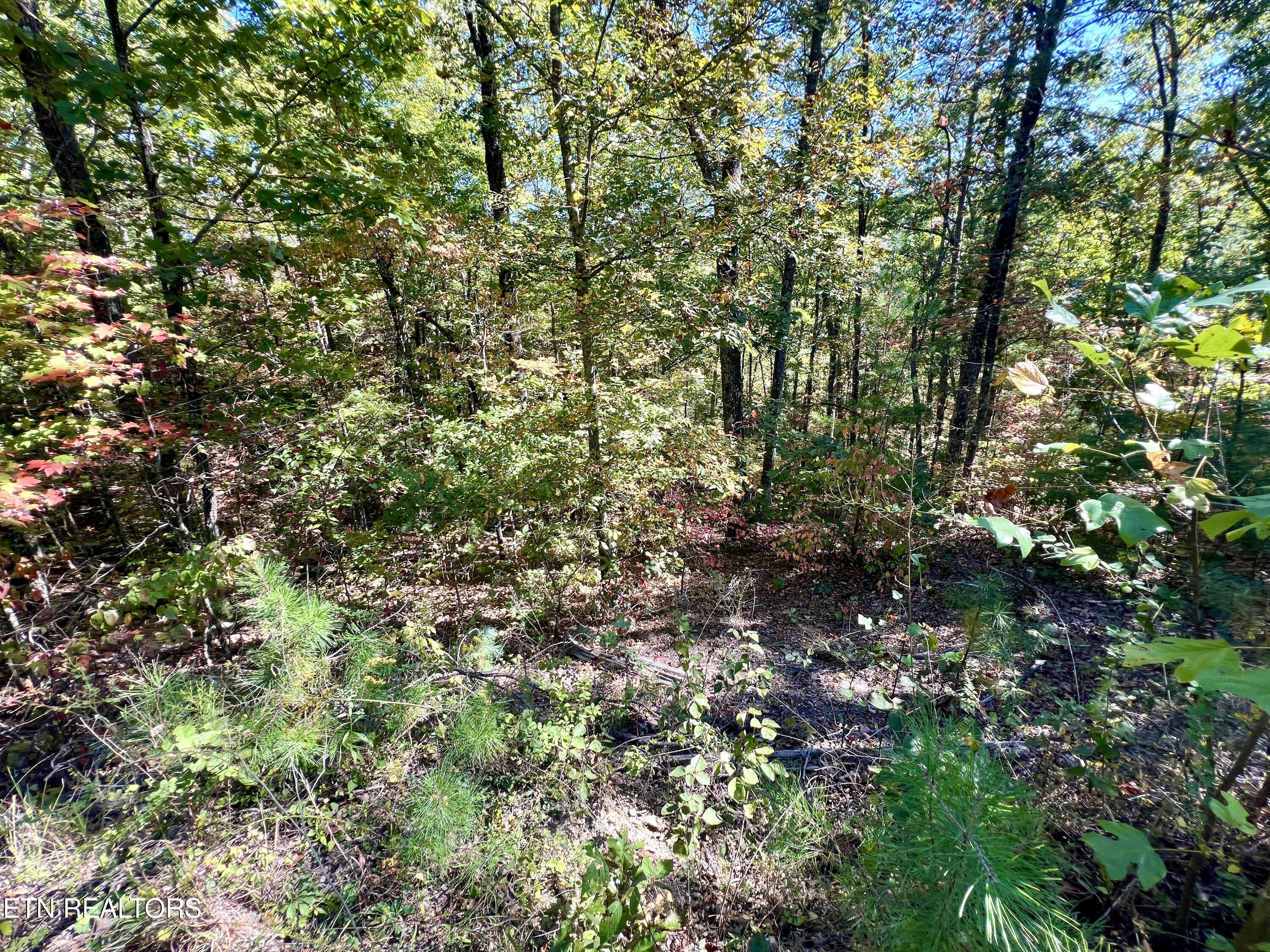 P 20.15 Creek Hollow Way Sevierville TN 37876
