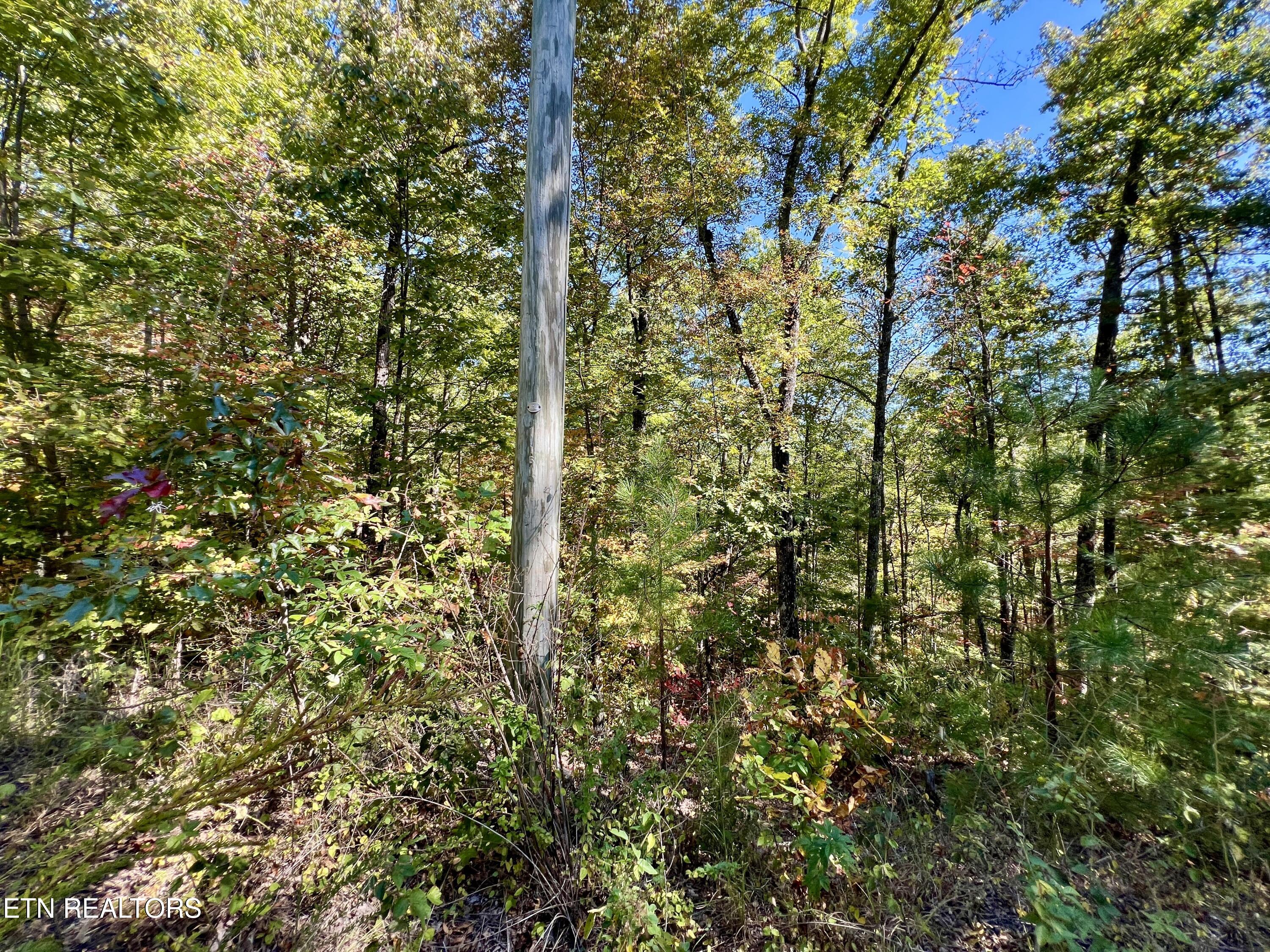 P 20.15 Creek Hollow Way Sevierville TN 37876