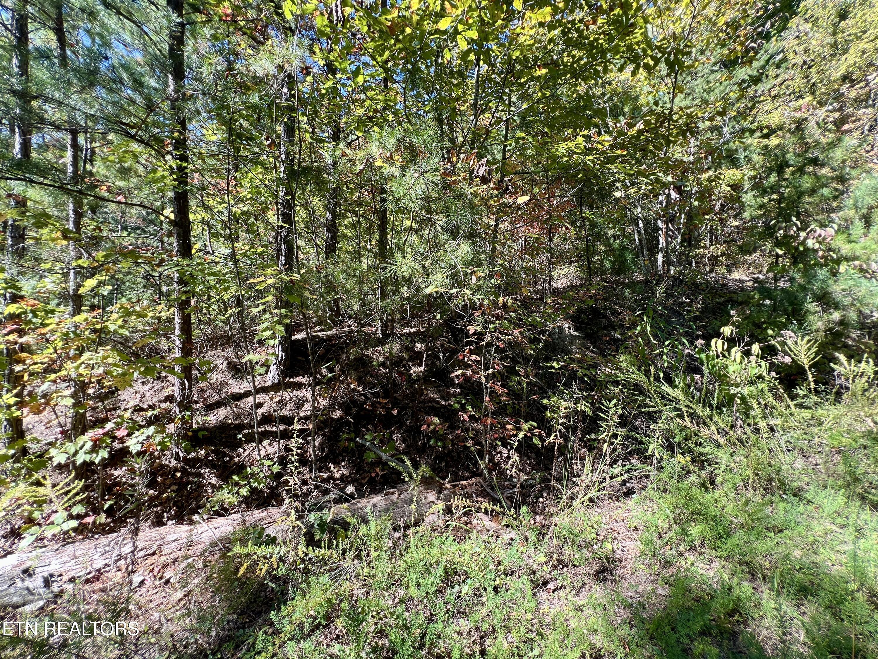 P 20.15 Creek Hollow Way Sevierville TN 37876