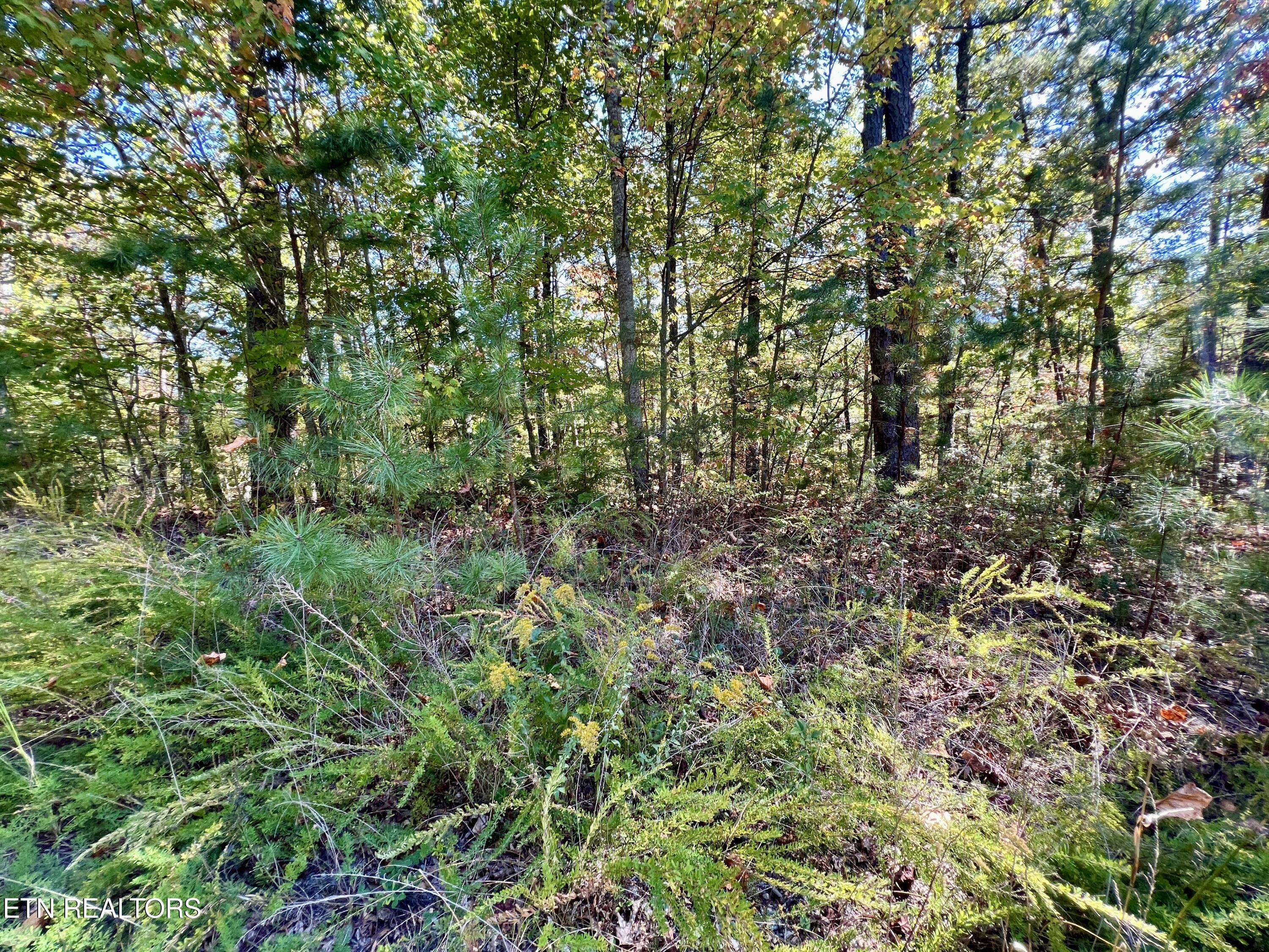 P 20.15 Creek Hollow Way Sevierville TN 37876