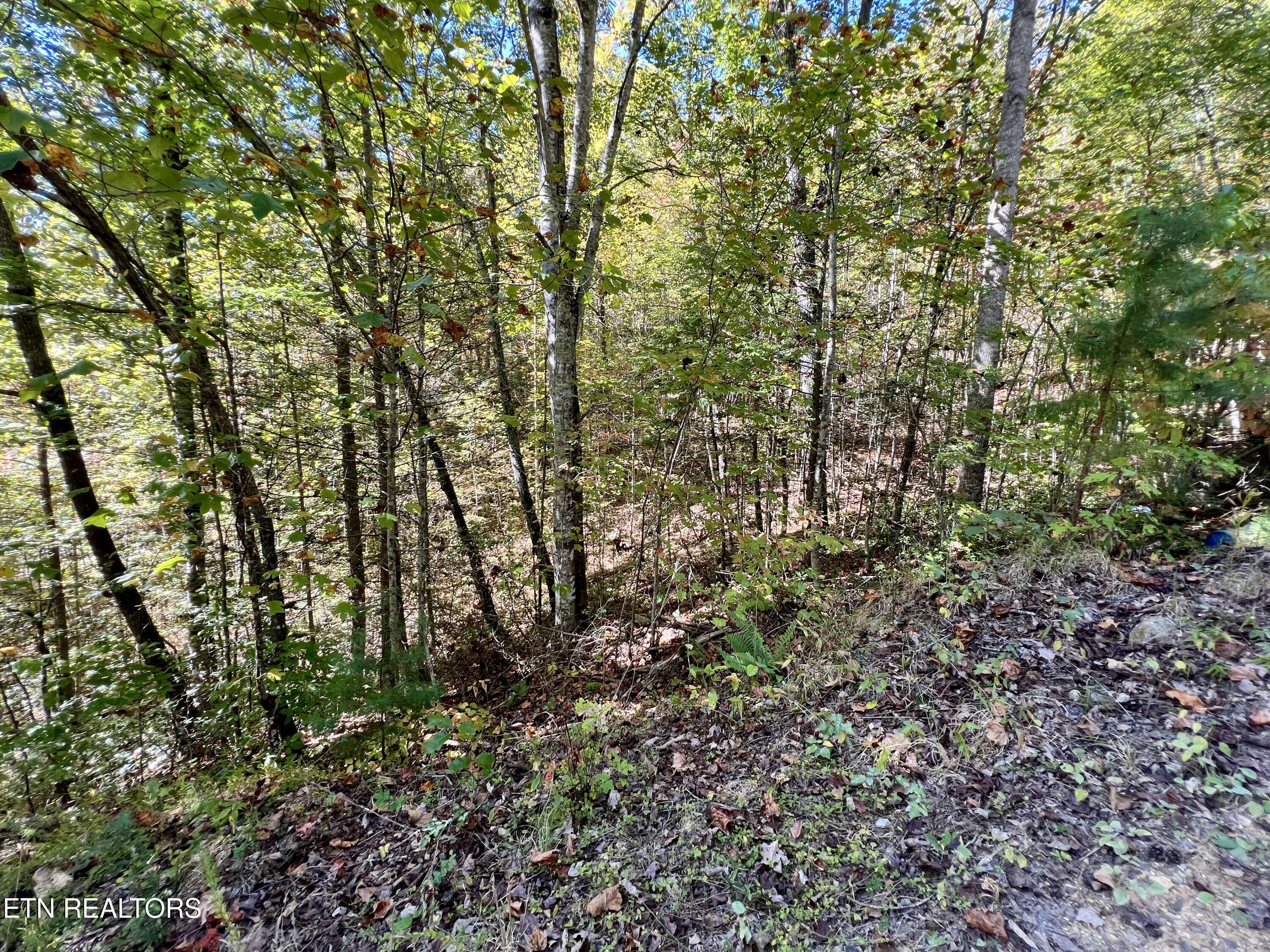P 20.15 Creek Hollow Way Sevierville TN 37876