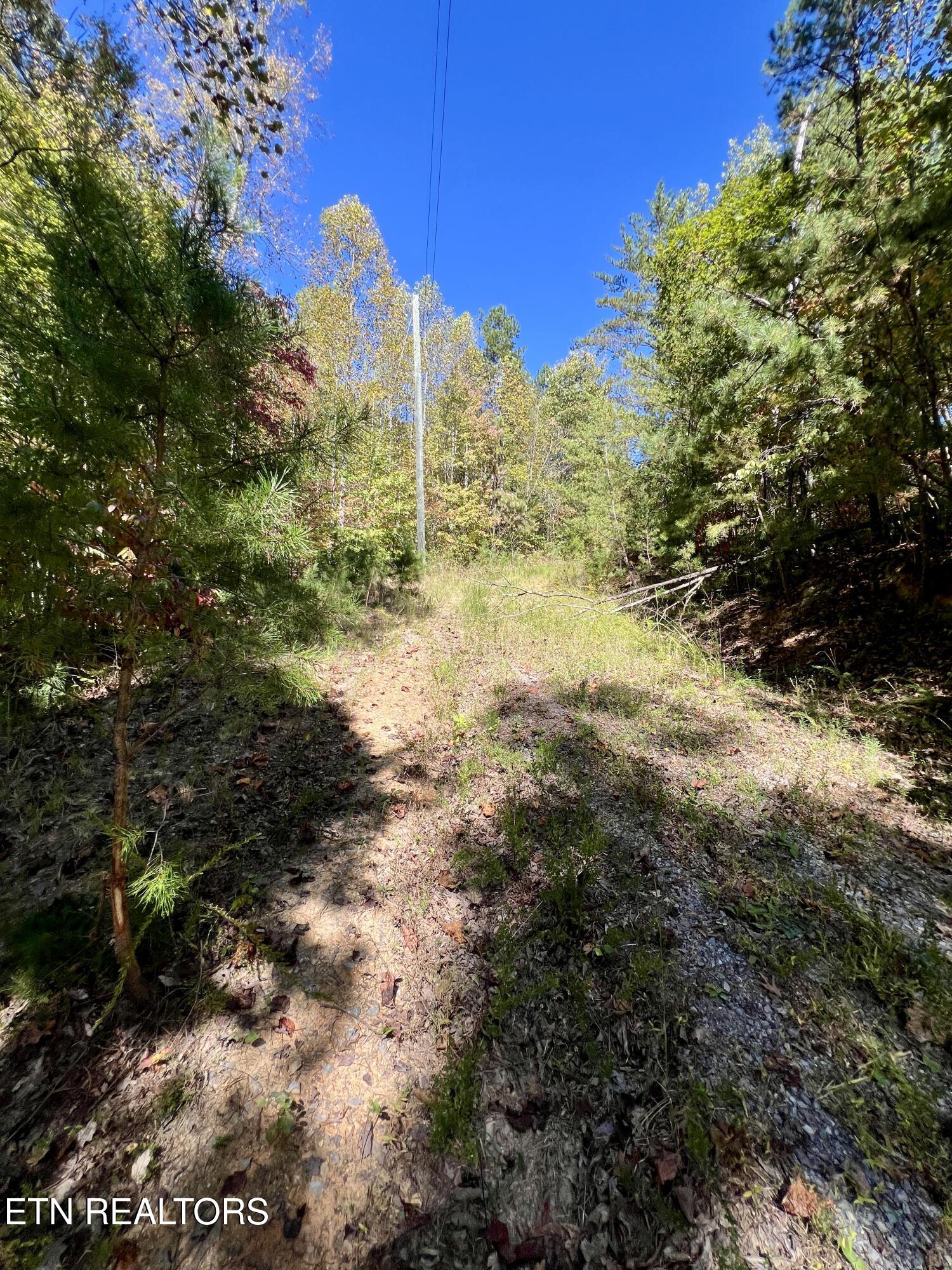 P 20.15 Creek Hollow Way Sevierville TN 37876