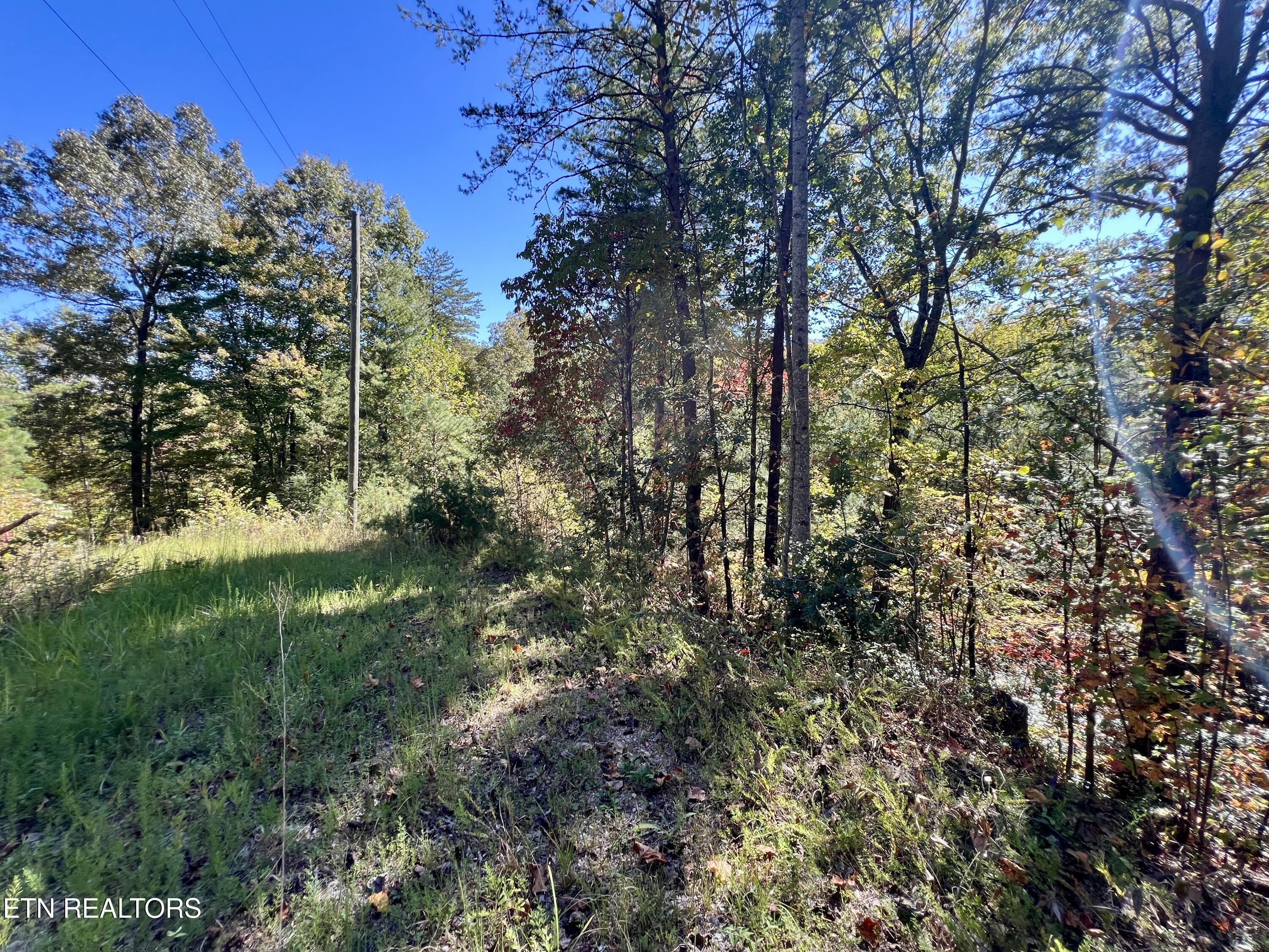P 20.15 Creek Hollow Way Sevierville TN 37876