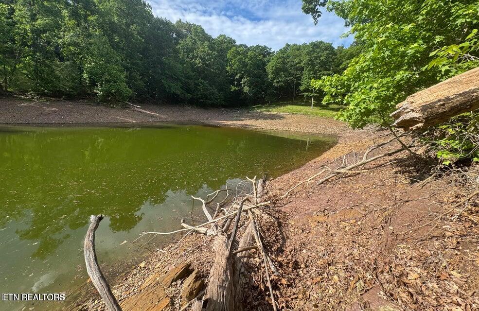 2109 Kahiti Court Mooresburg TN 37811
