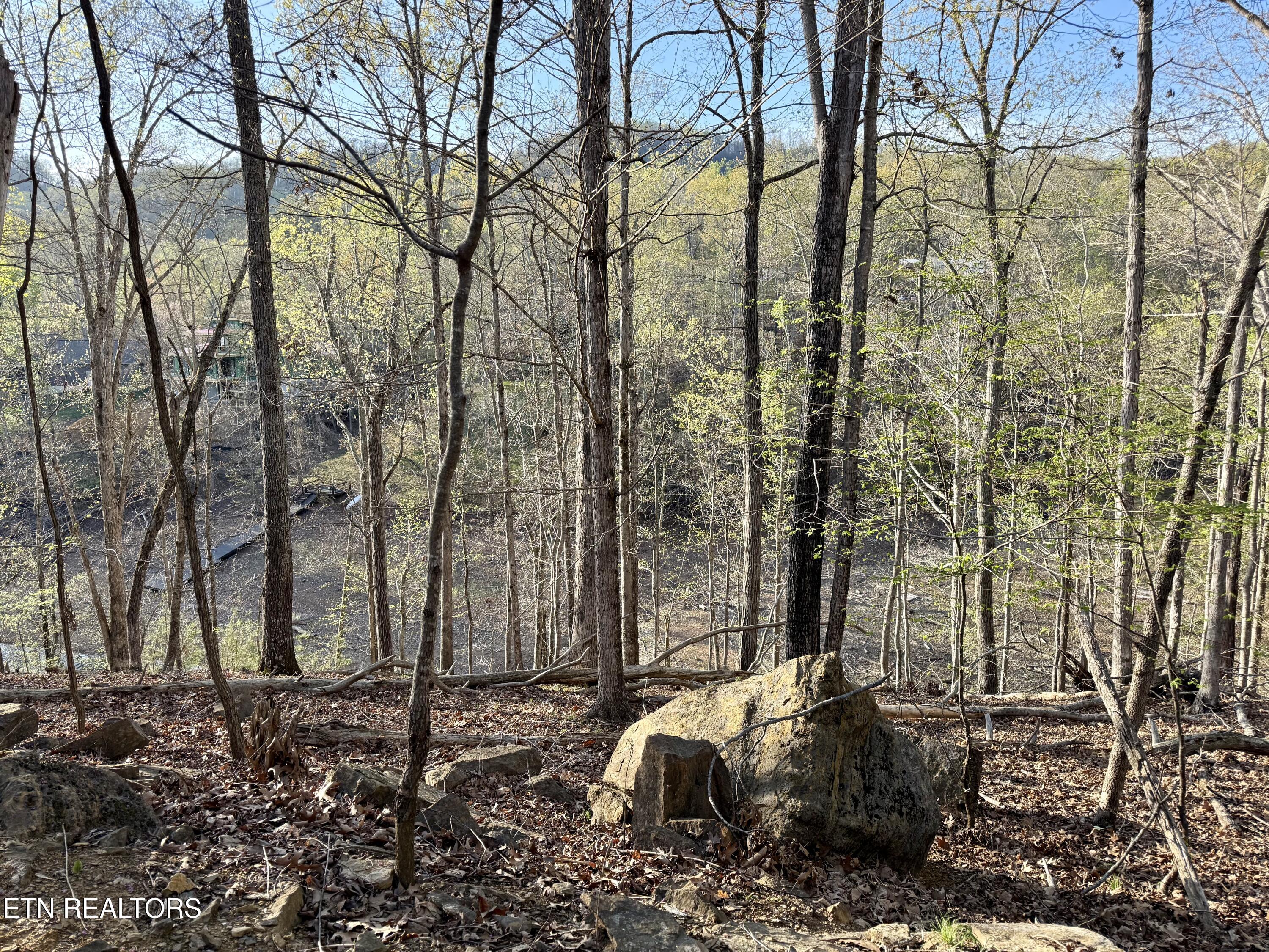 2109 Kahiti Court Mooresburg TN 37811