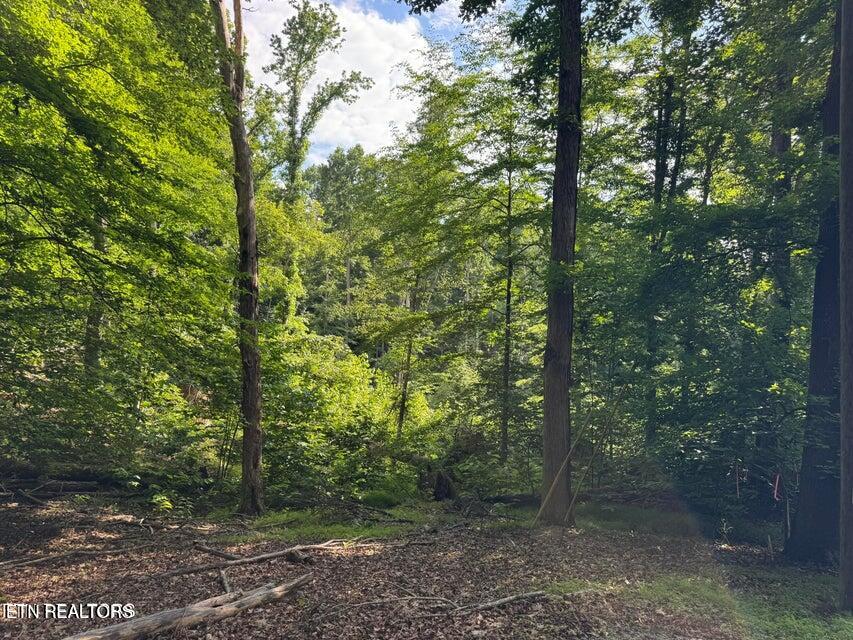 2109 Kahiti Court Mooresburg TN 37811