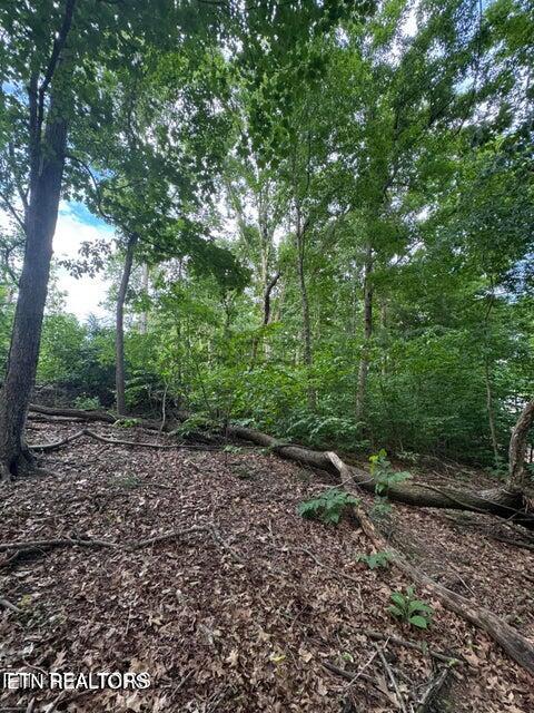 2109 Kahiti Court Mooresburg TN 37811