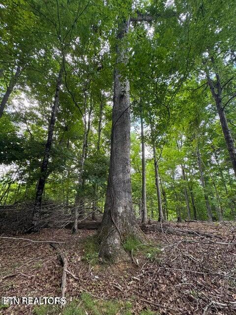 2109 Kahiti Court Mooresburg TN 37811