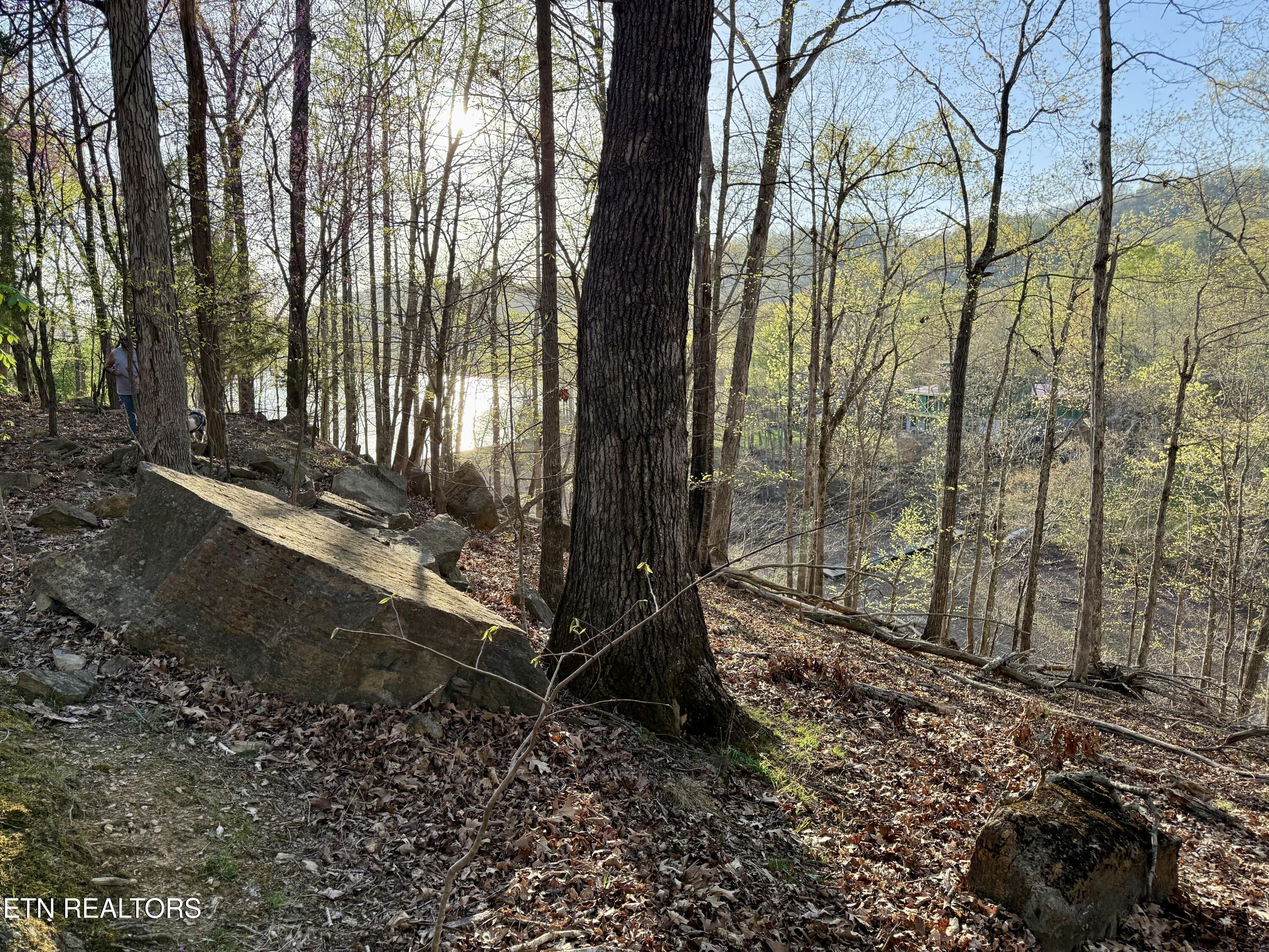 2109 Kahiti Court Mooresburg TN 37811