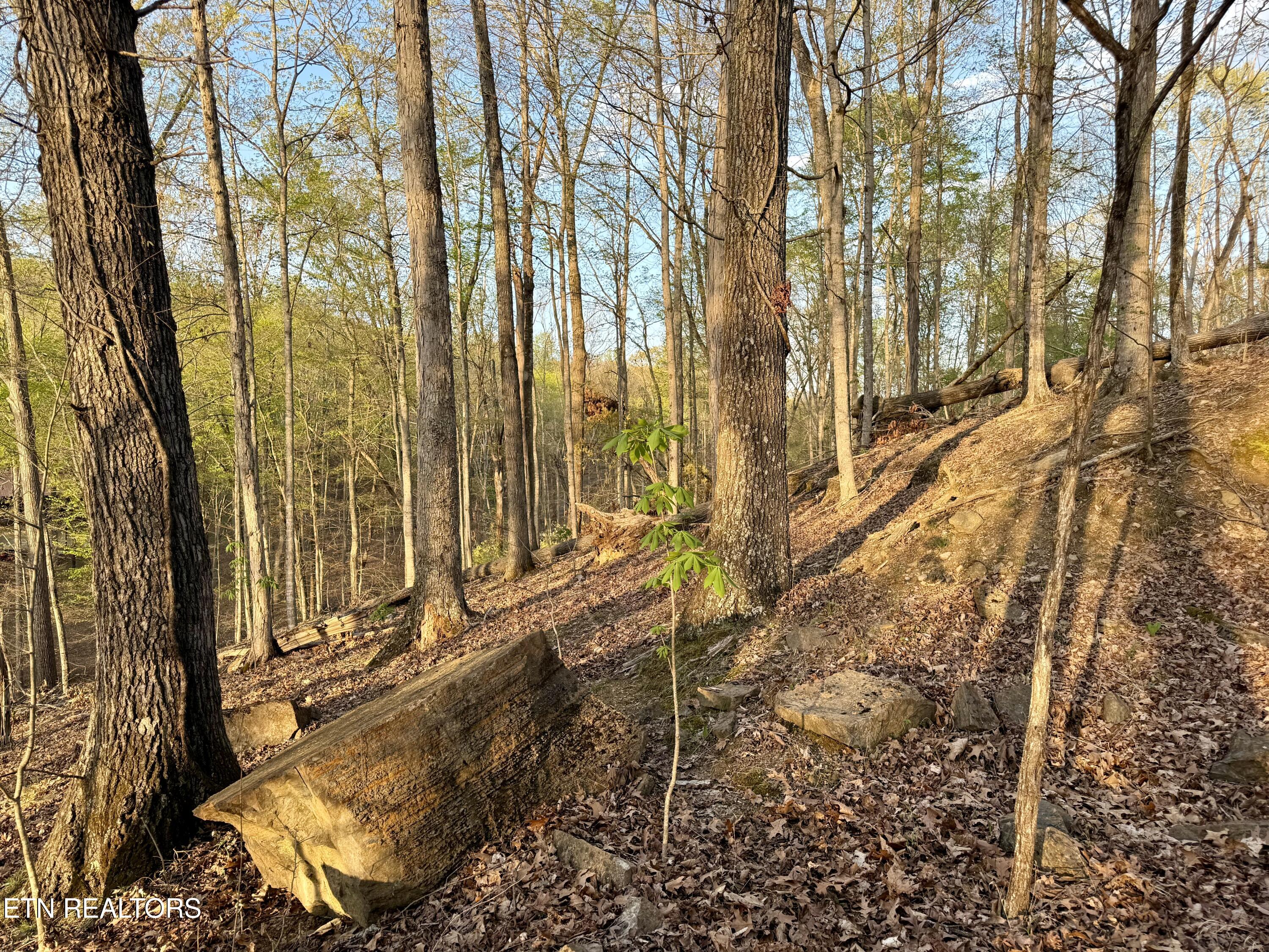 2109 Kahiti Court Mooresburg TN 37811