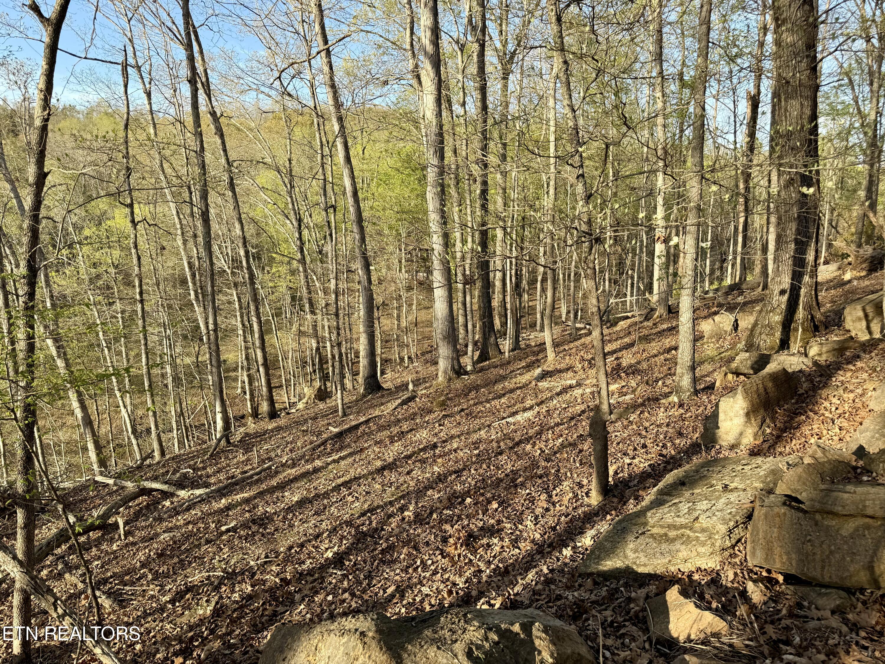 2109 Kahiti Court Mooresburg TN 37811
