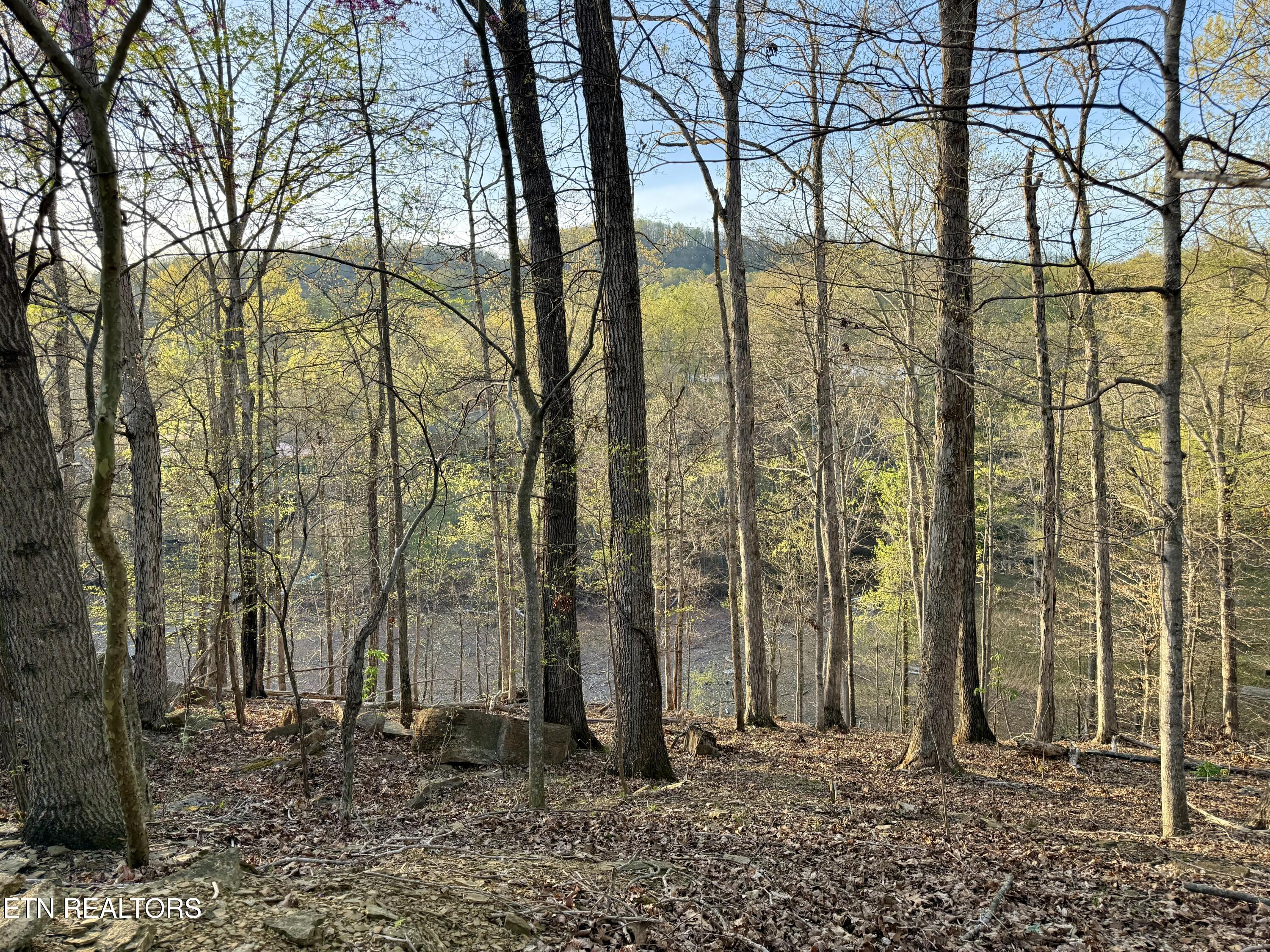 2109 Kahiti Court Mooresburg TN 37811