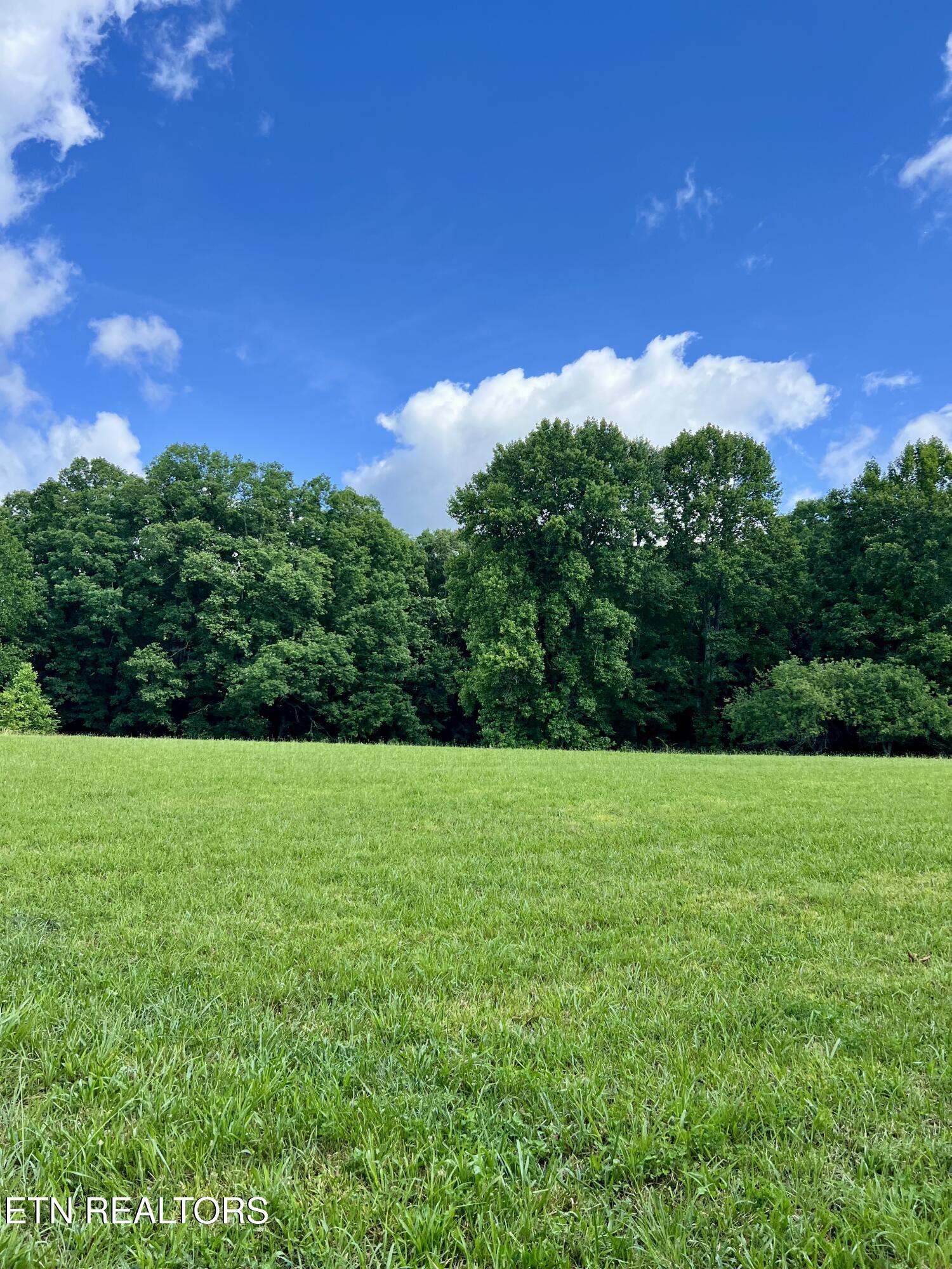 Eli Lane Oneida TN 37841