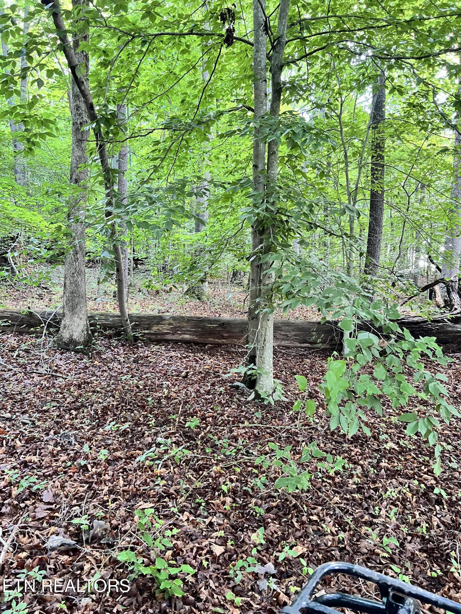 Eli Lane Oneida TN 37841