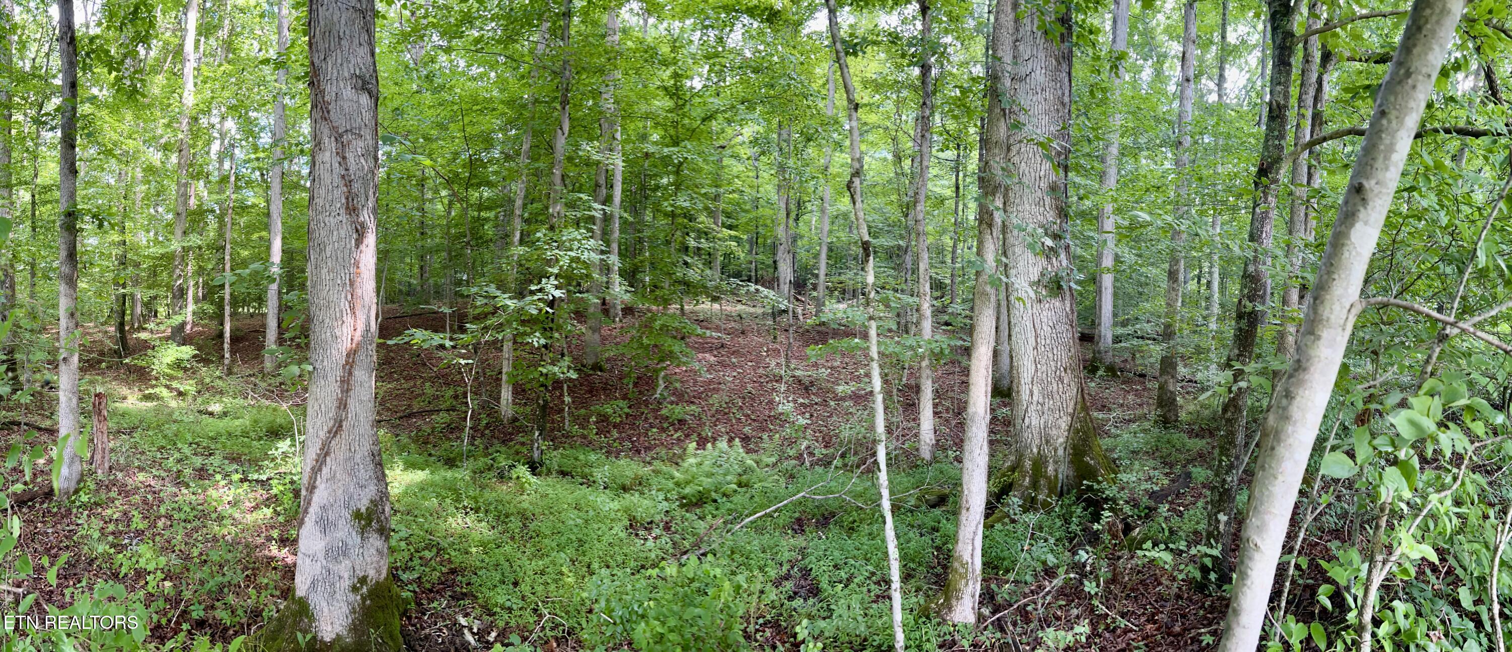 Eli Lane Oneida TN 37841