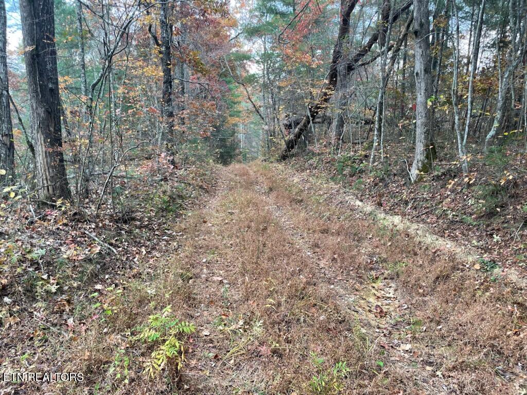 Gunter Place Sunbright TN 37872