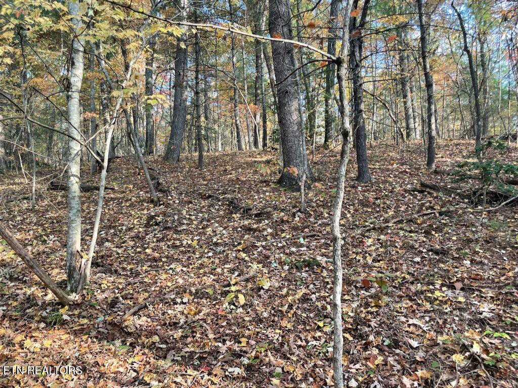 Gunter Place Sunbright TN 37872