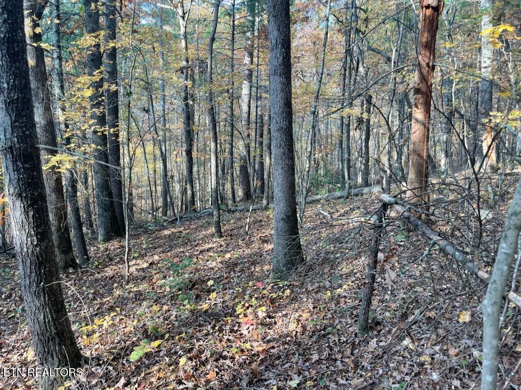 Gunter Place Sunbright TN 37872