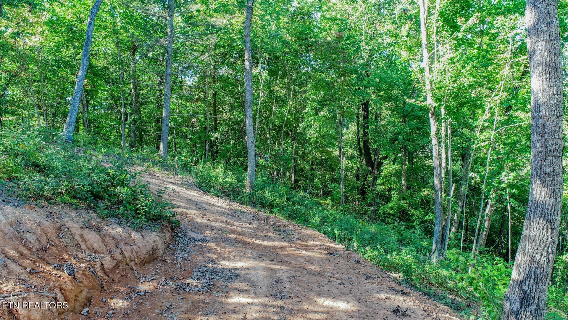 113 Huffman Way Newport TN 37821