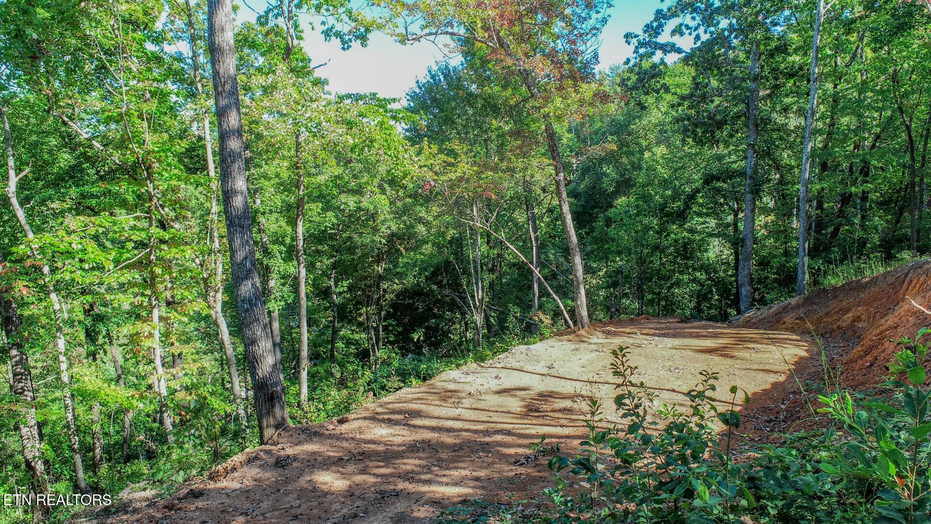 113 Huffman Way Newport TN 37821