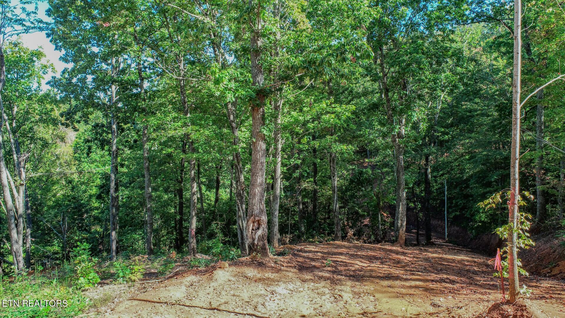 113 Huffman Way Newport TN 37821