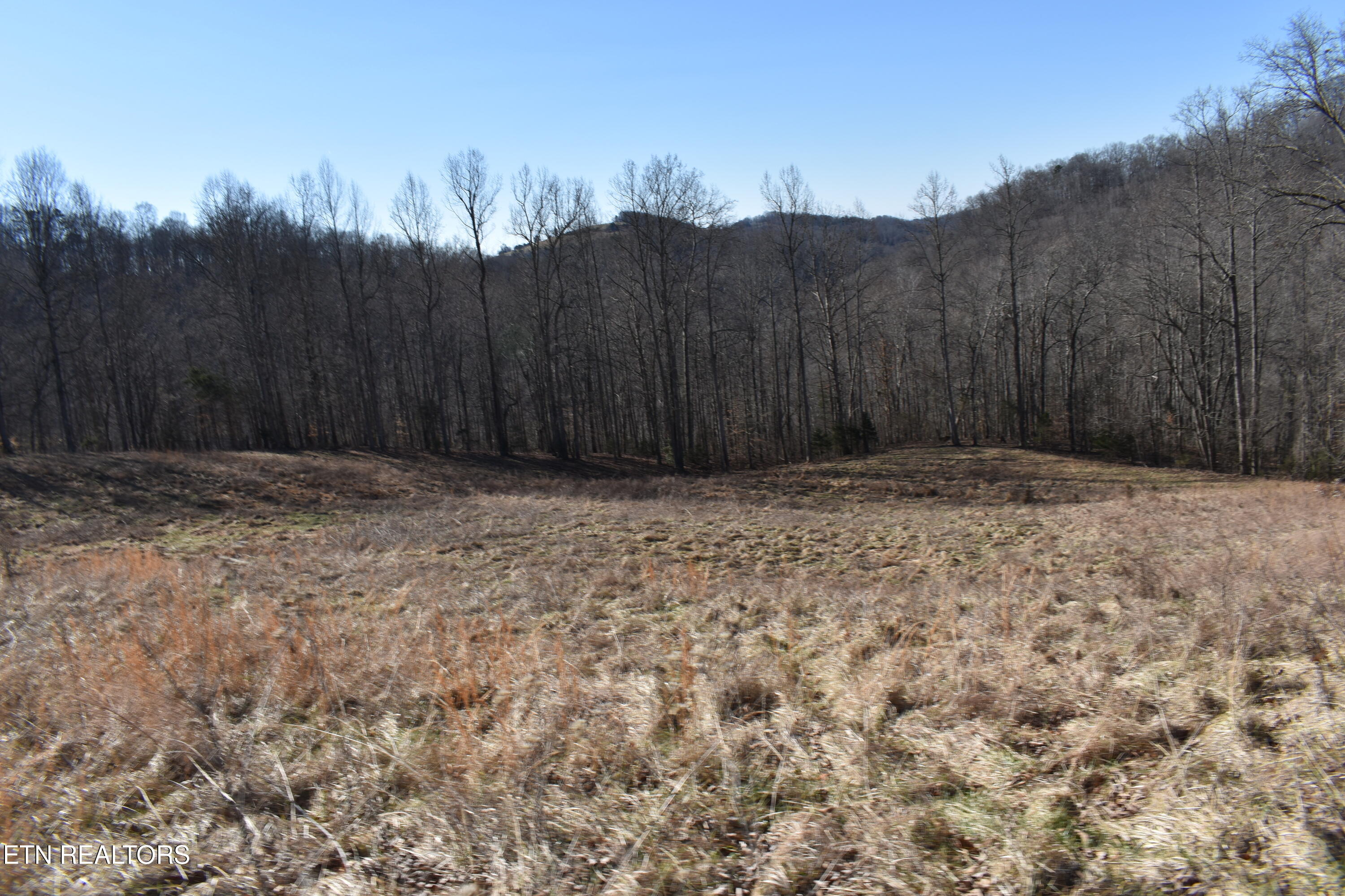787 Oak Grove Road Harrogate TN 37752