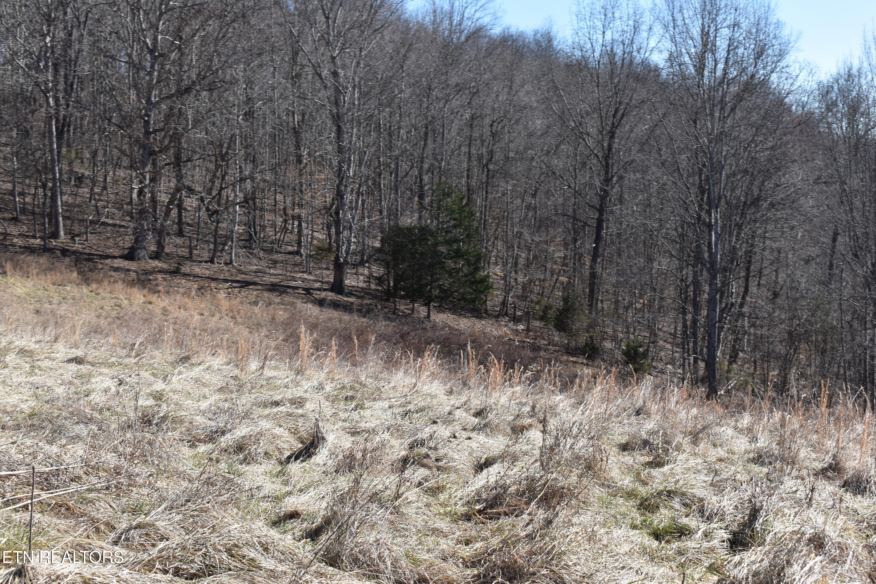 787 Oak Grove Road Harrogate TN 37752