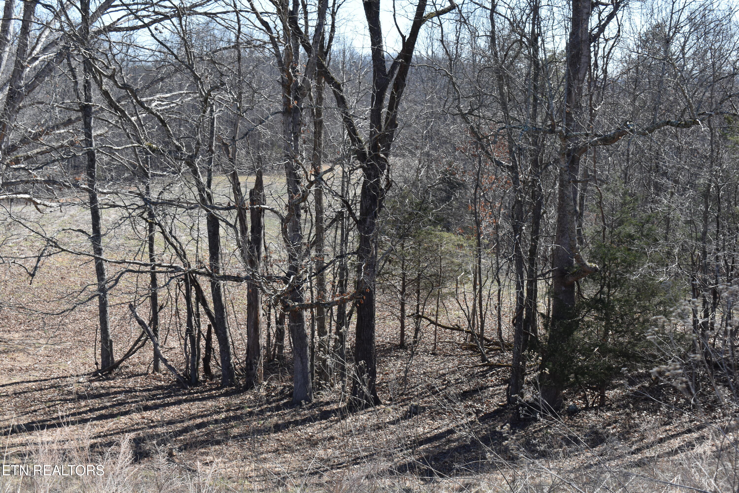 787 Oak Grove Road Harrogate TN 37752