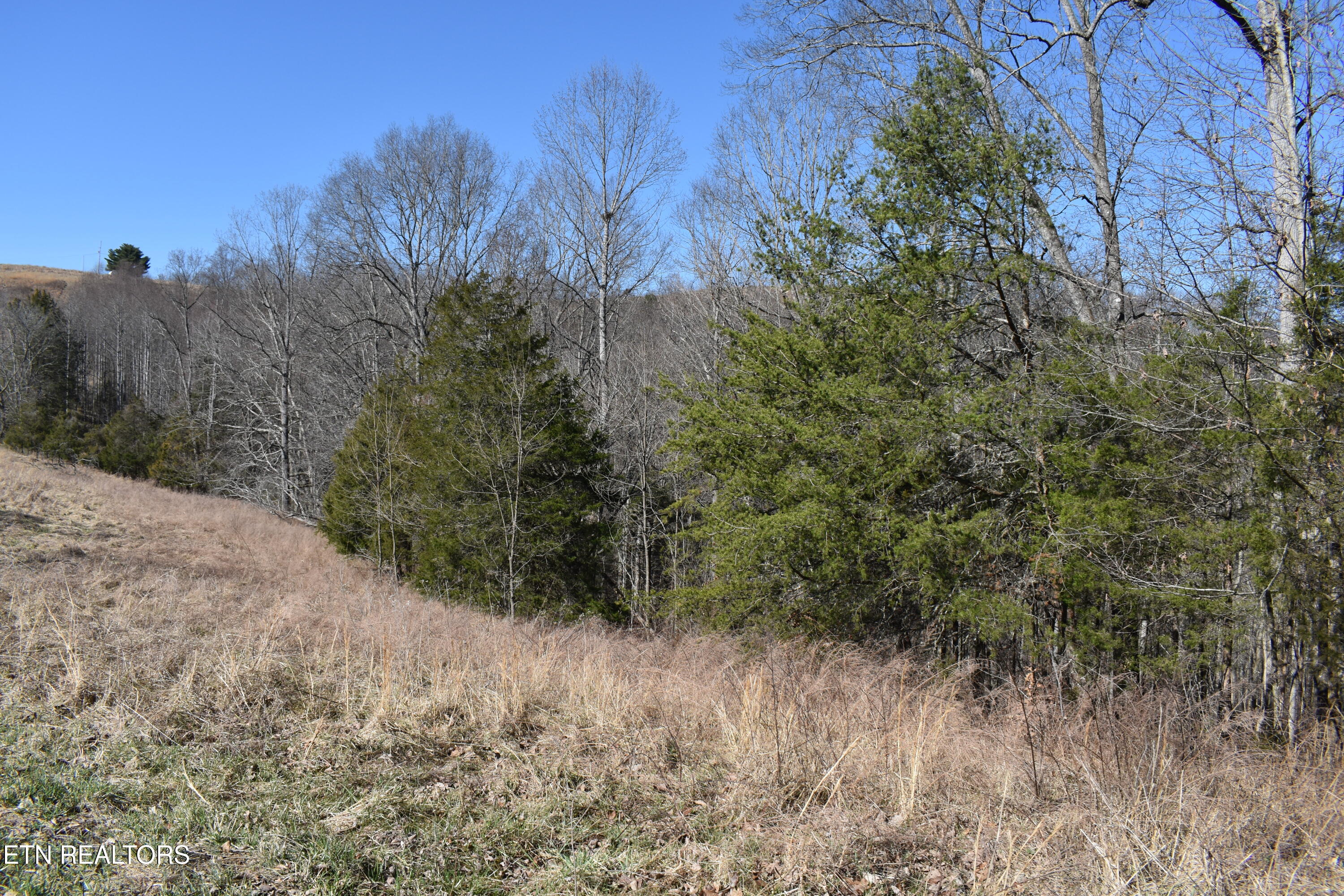 787 Oak Grove Road Harrogate TN 37752