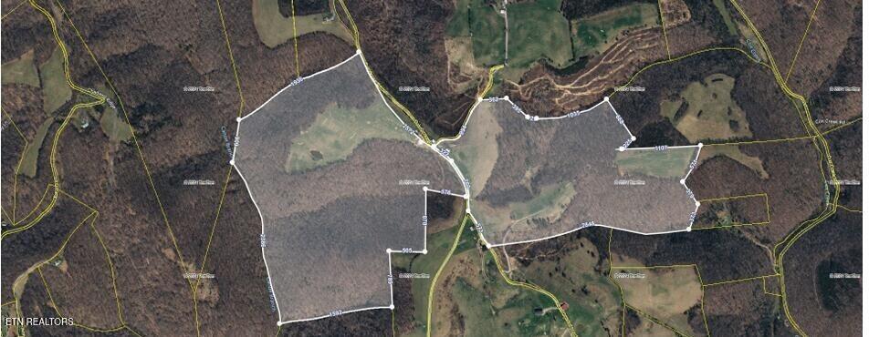 787 Oak Grove Road Harrogate TN 37752