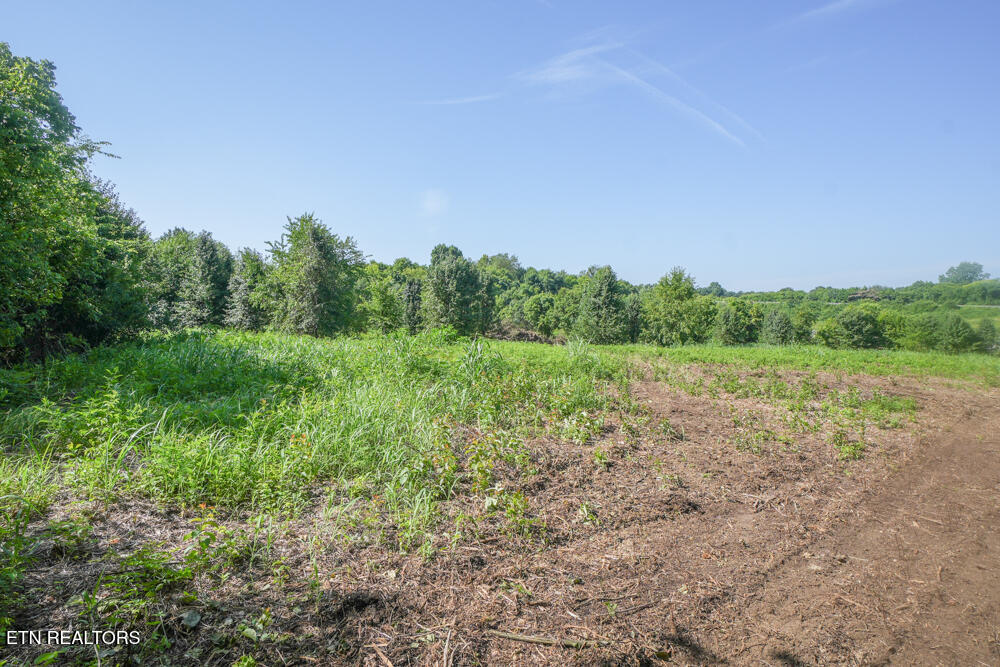 Cusick Road Alcoa TN 37701