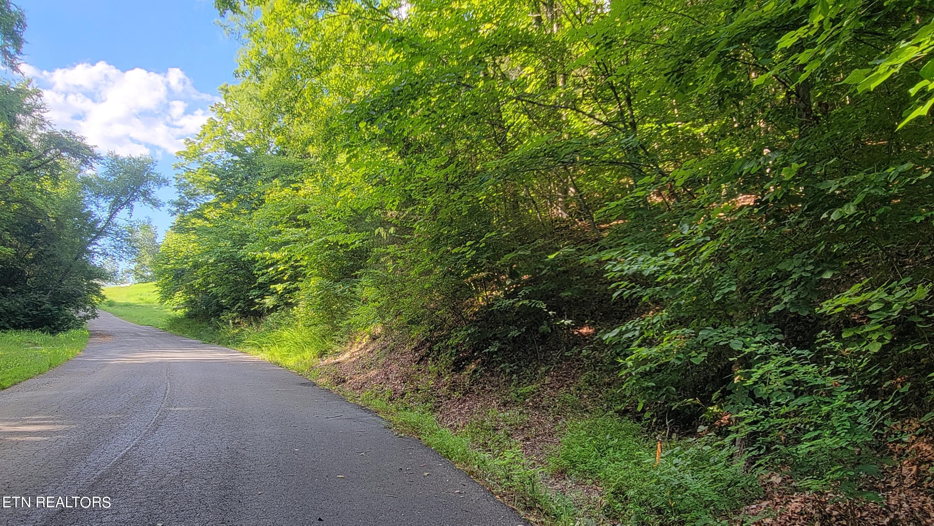 Lakeshore Drive (Lot 36) Way Newport TN 37821