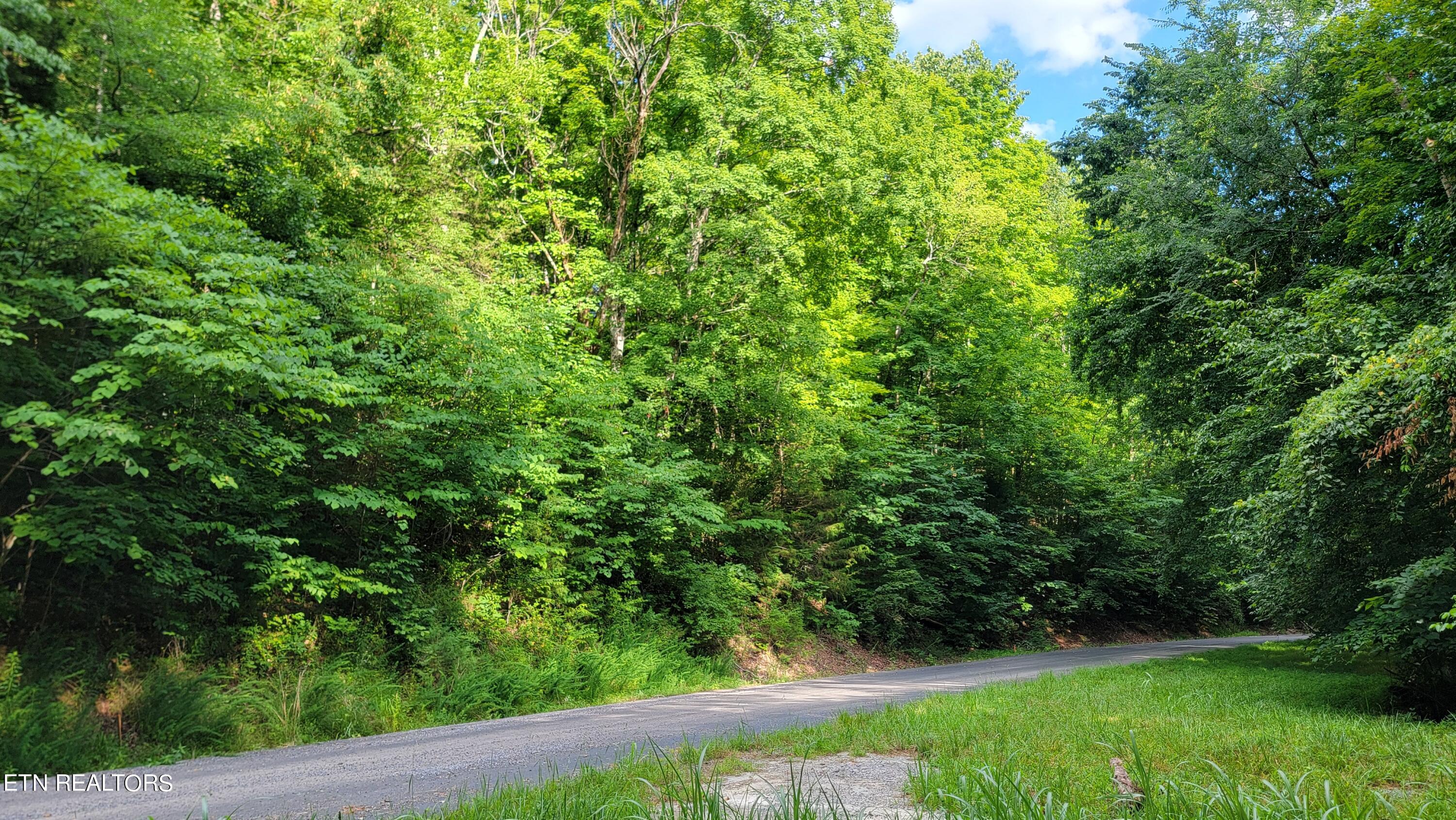 Lakeshore Drive (Lot 36) Way Newport TN 37821