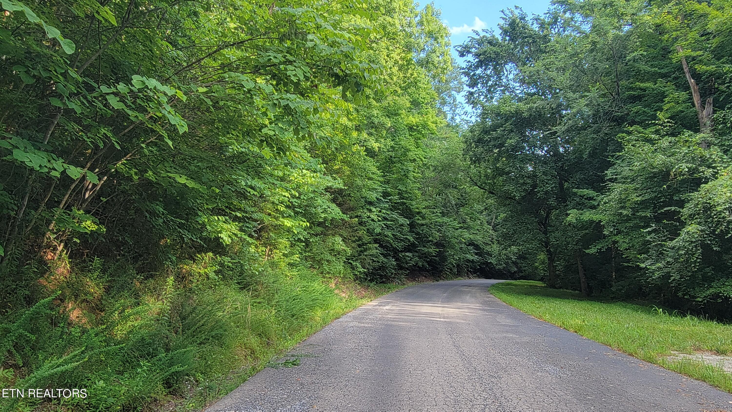 Lakeshore Drive (Lot 36) Way Newport TN 37821