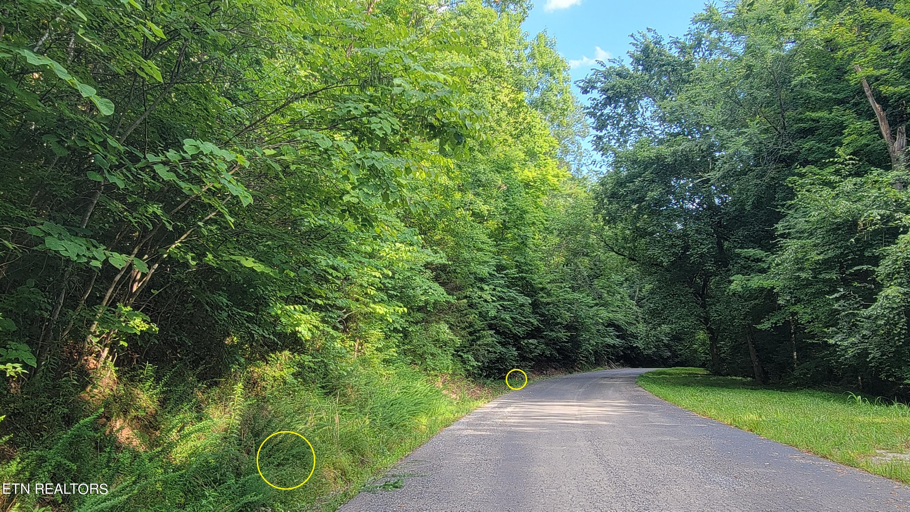 Lakeshore Drive (Lot 36) Way Newport TN 37821
