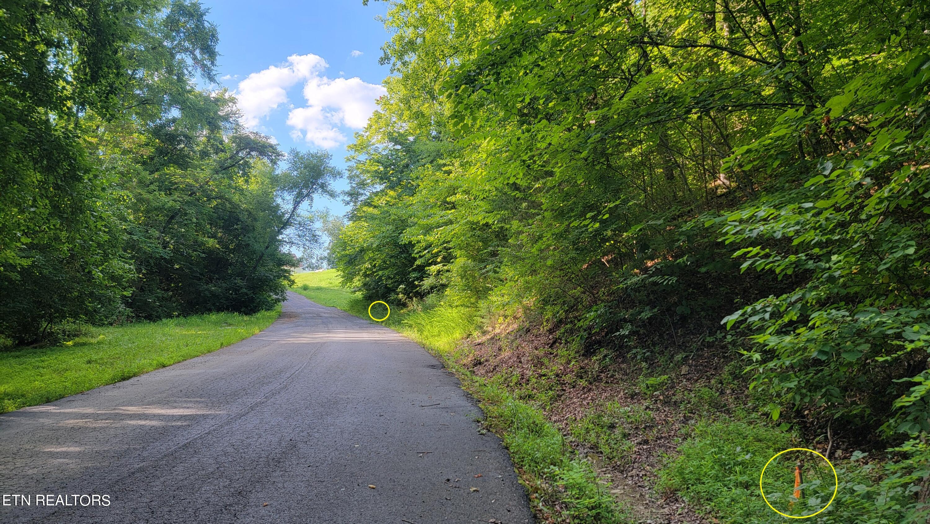 Lakeshore Drive (Lot 36) Way Newport TN 37821
