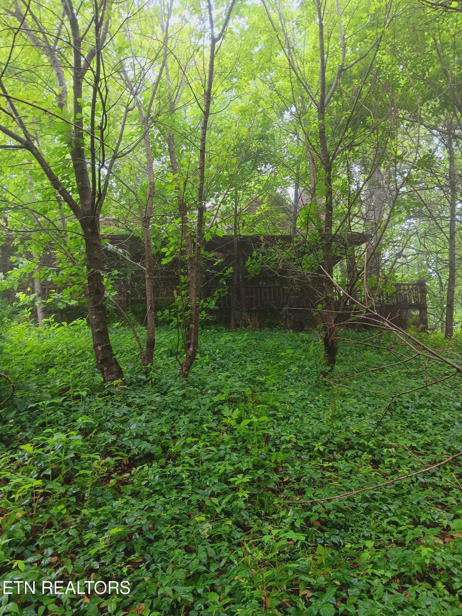 2595 Highway 31 Mooresburg TN 37811