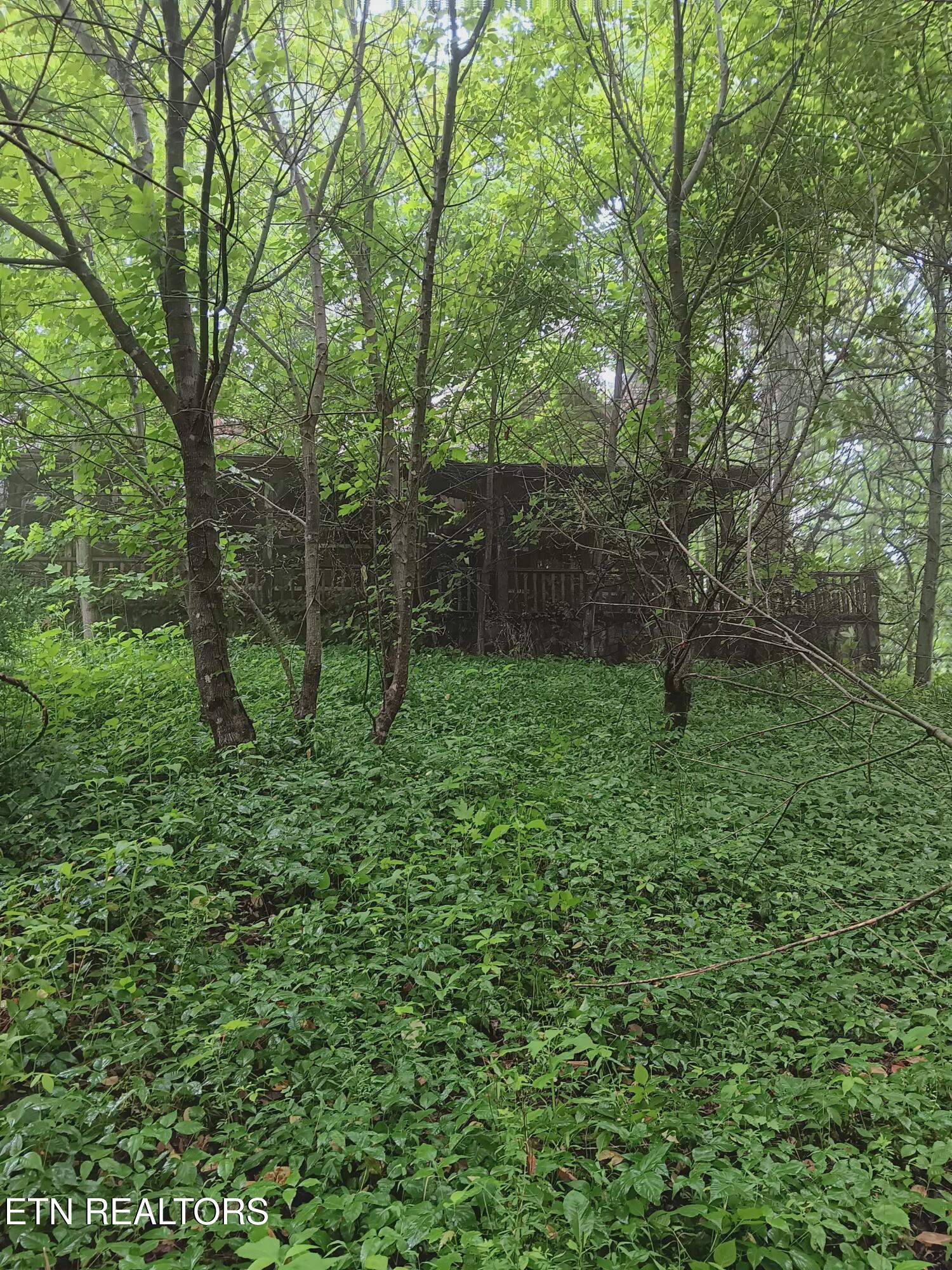 2595 Highway 31 Mooresburg TN 37811