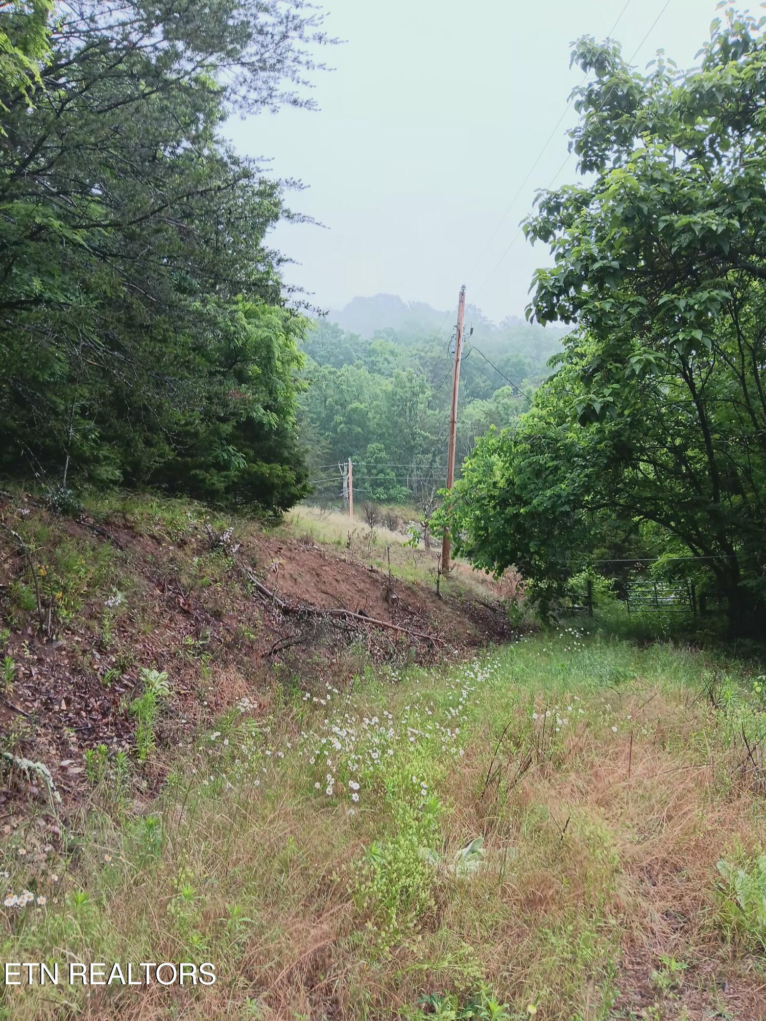 2595 Highway 31 Mooresburg TN 37811