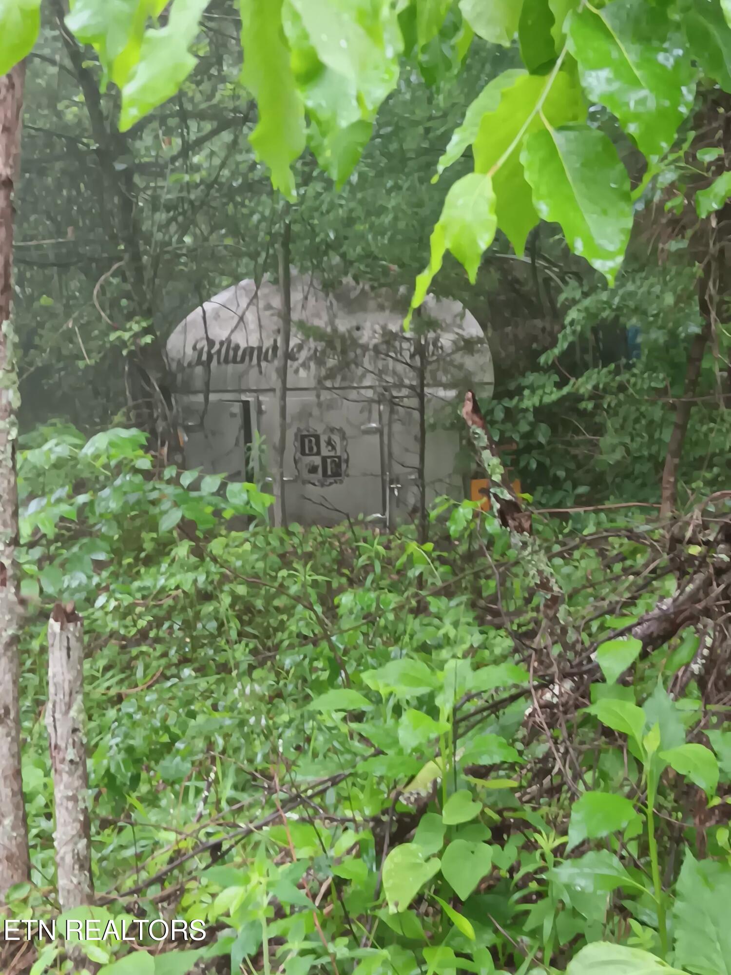 2595 Highway 31 Mooresburg TN 37811
