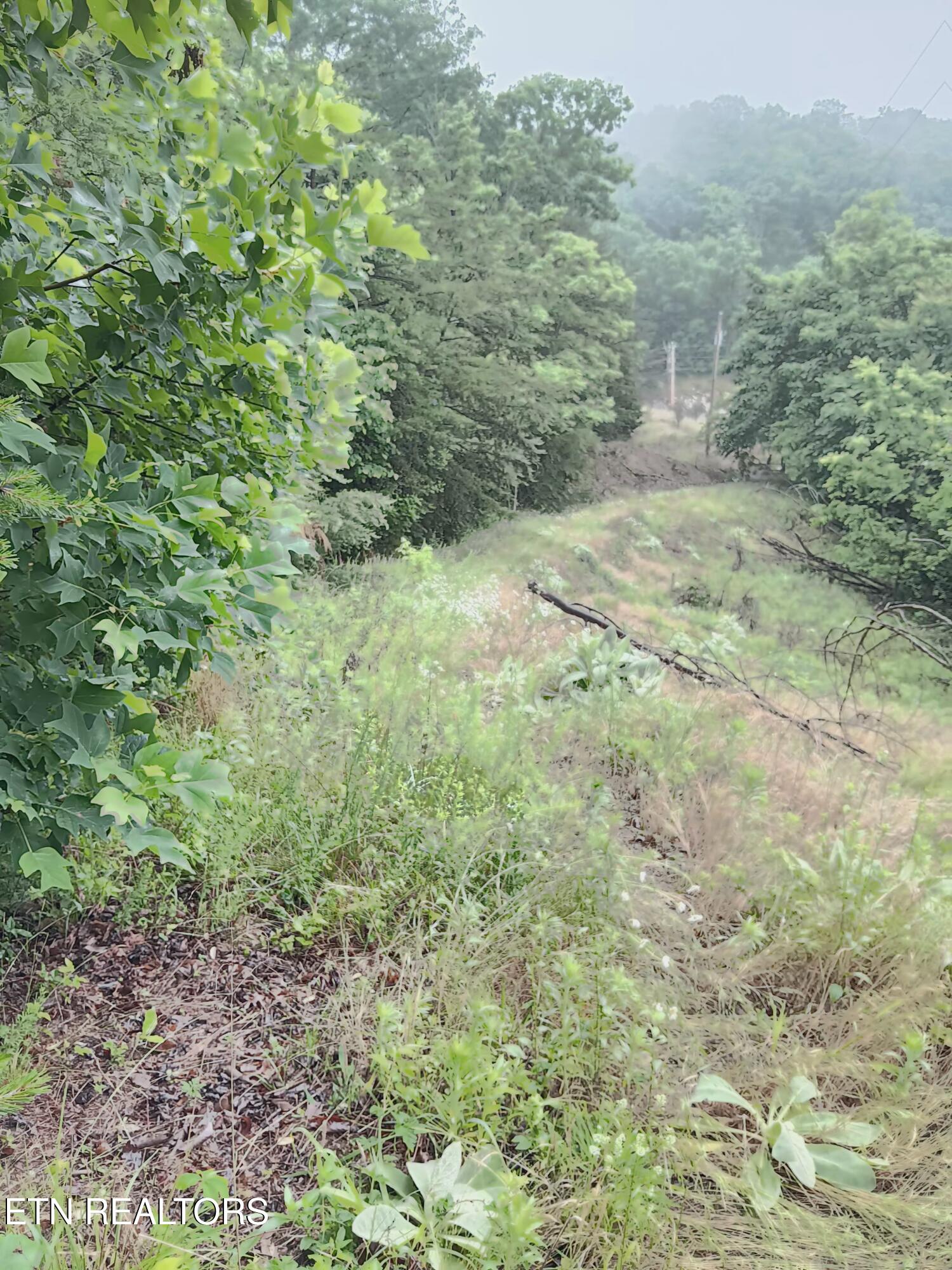 2595 Highway 31 Mooresburg TN 37811