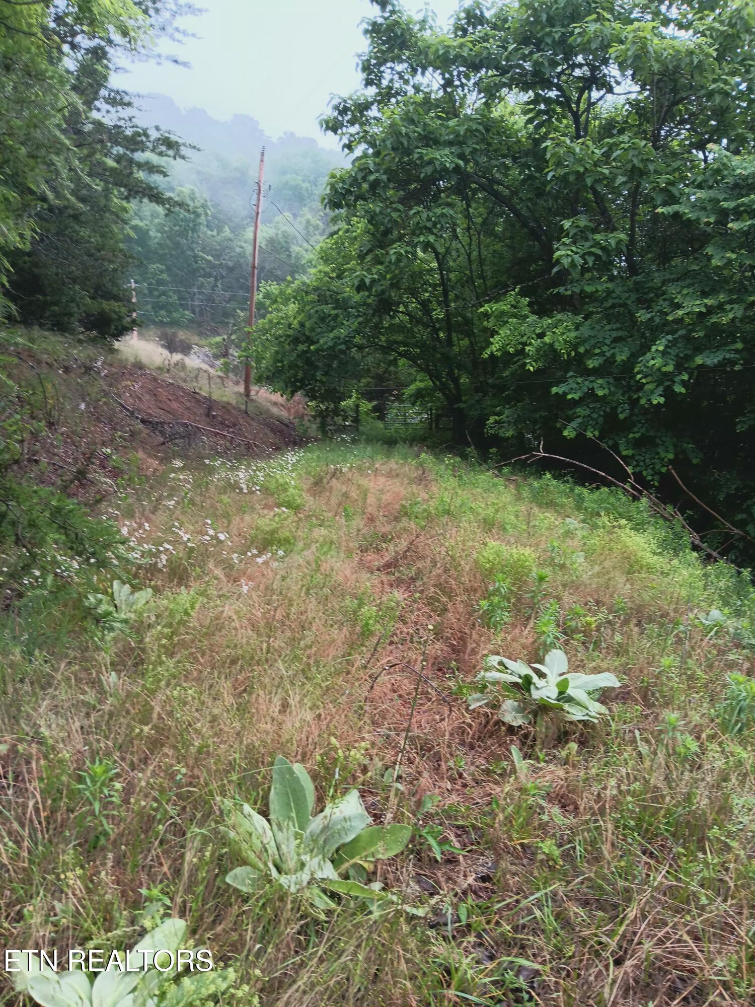 2595 Highway 31 Mooresburg TN 37811
