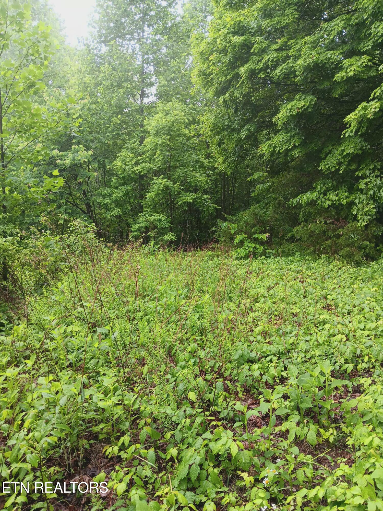 2595 Highway 31 Mooresburg TN 37811