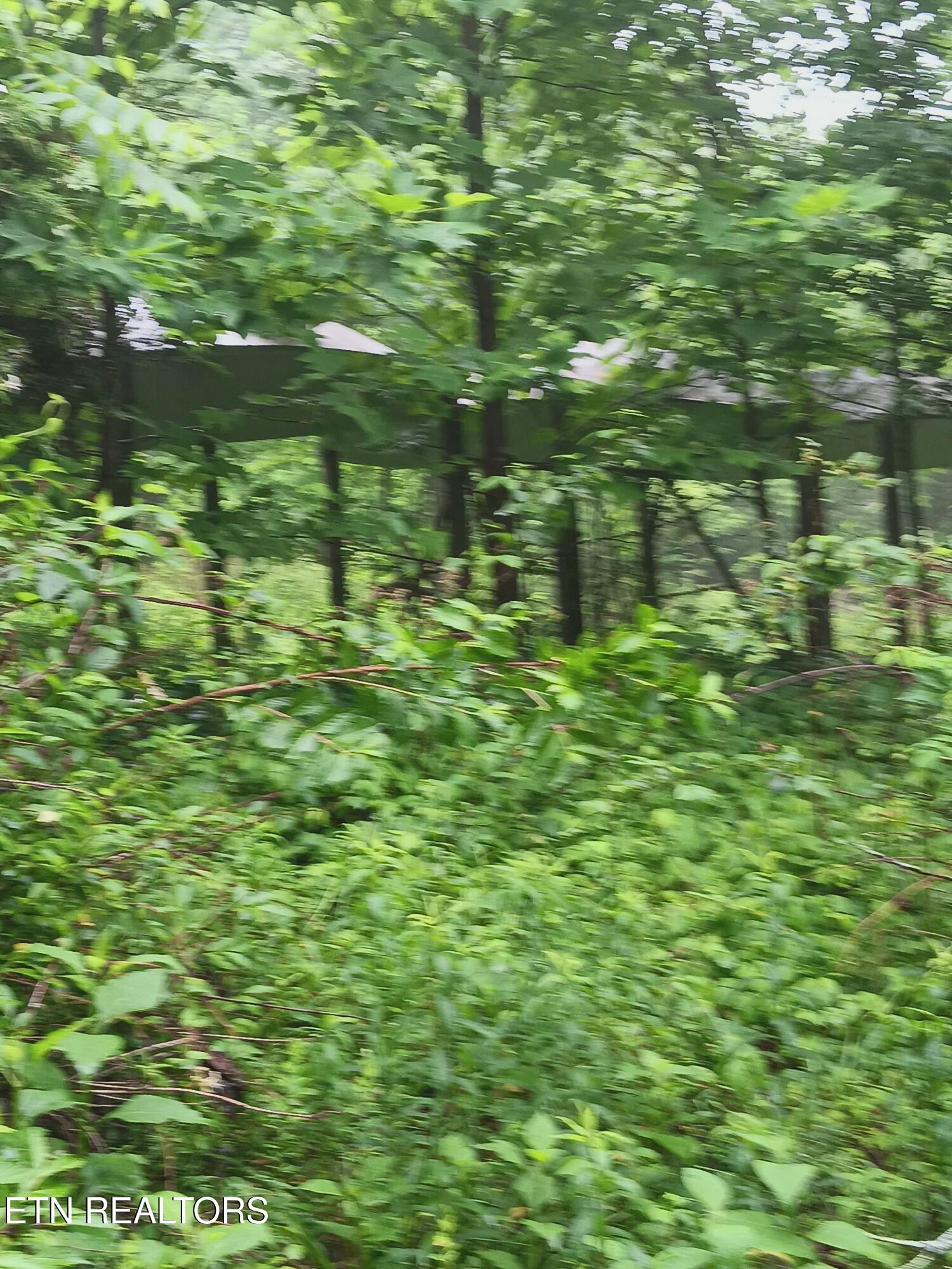 2595 Highway 31 Mooresburg TN 37811