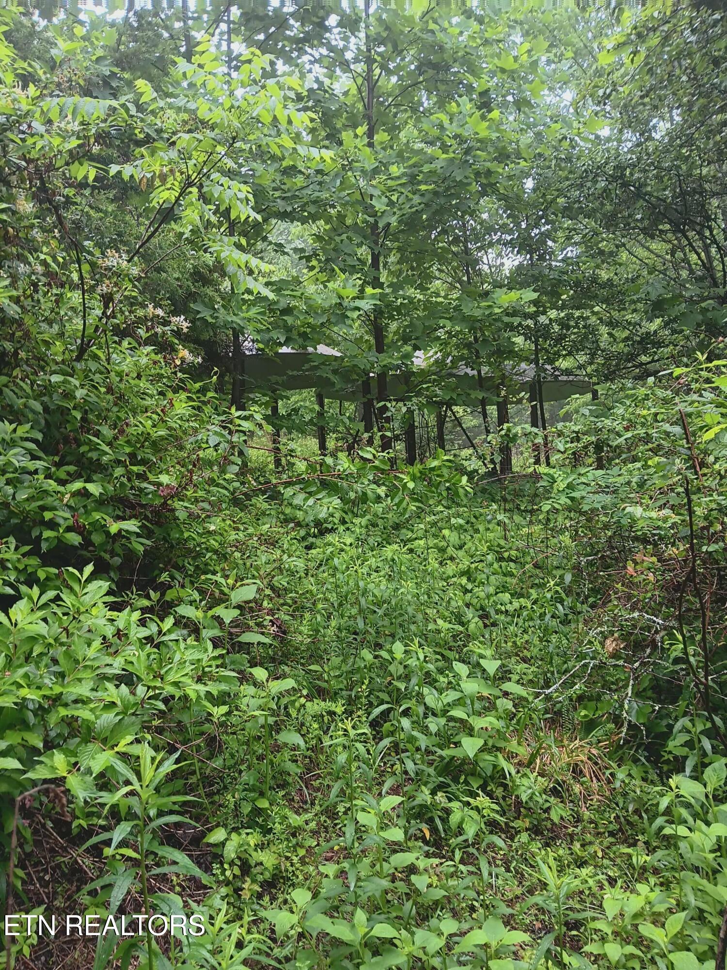 2595 Highway 31 Mooresburg TN 37811