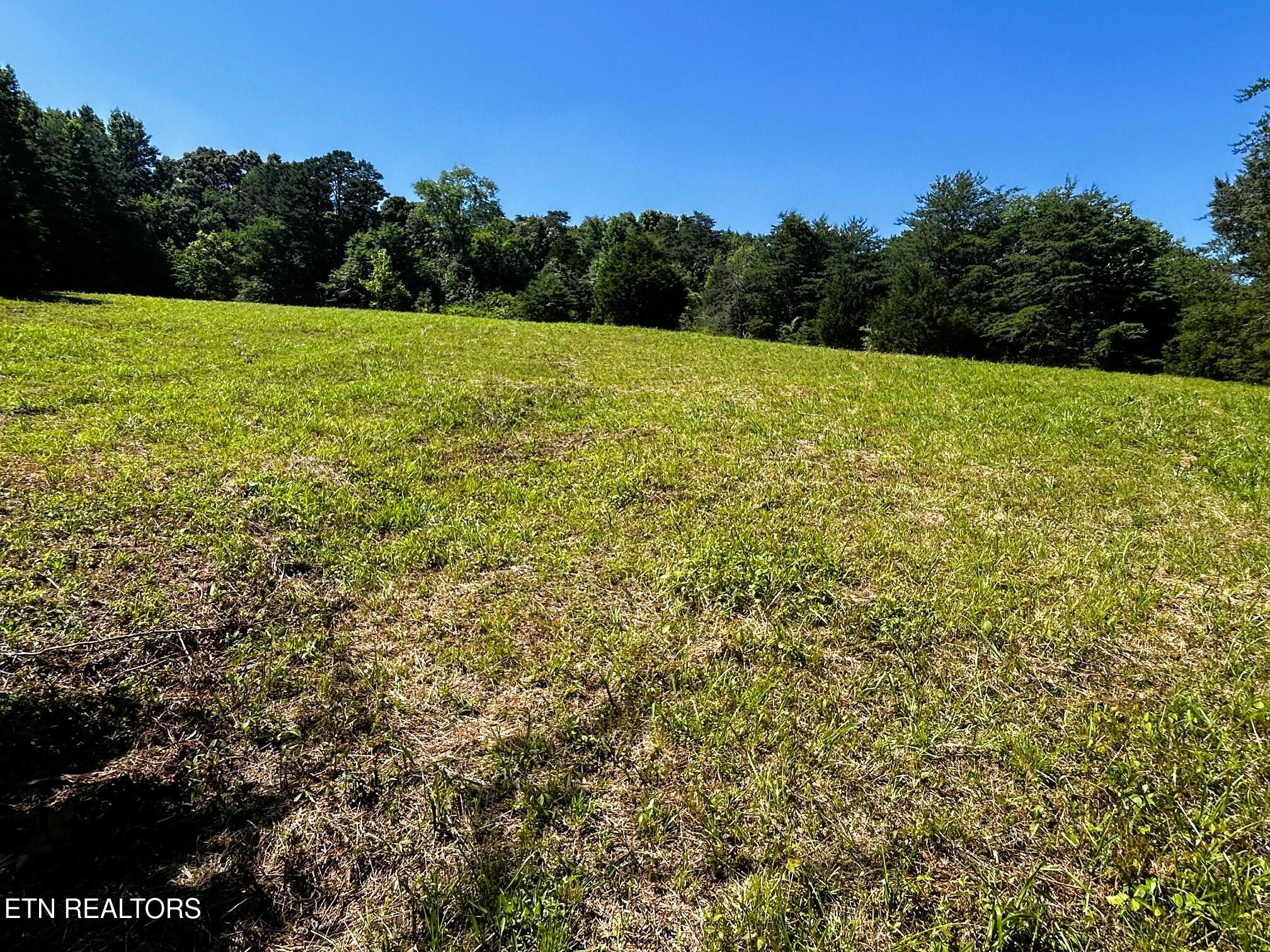1060 County Road 130 Riceville TN 37370