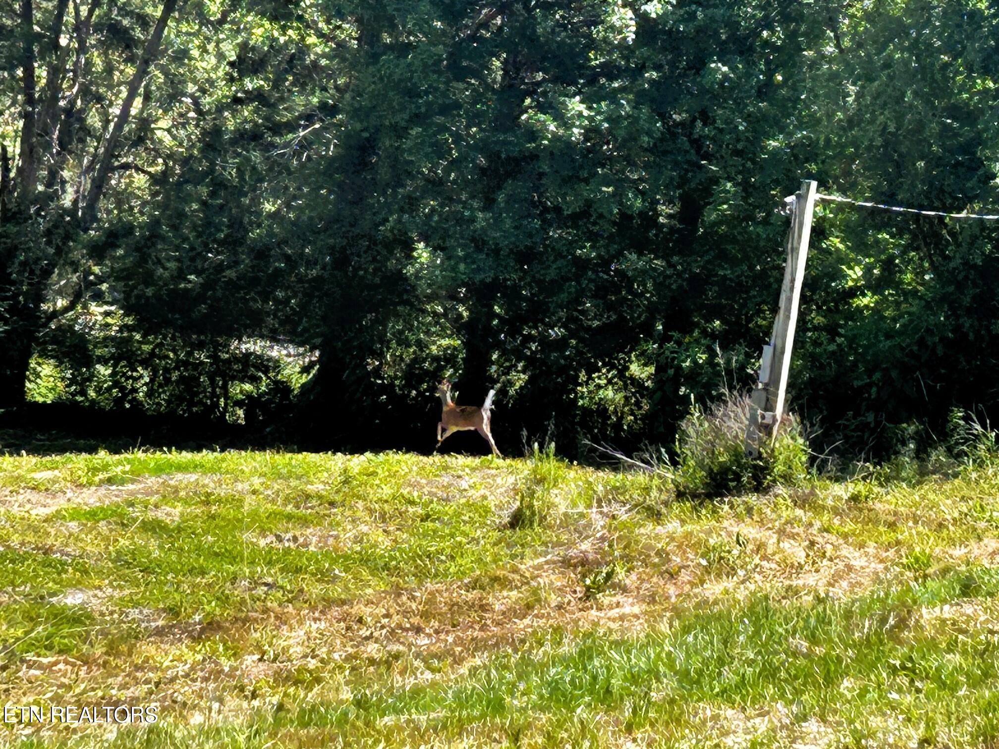 1060 County Road 130 Riceville TN 37370