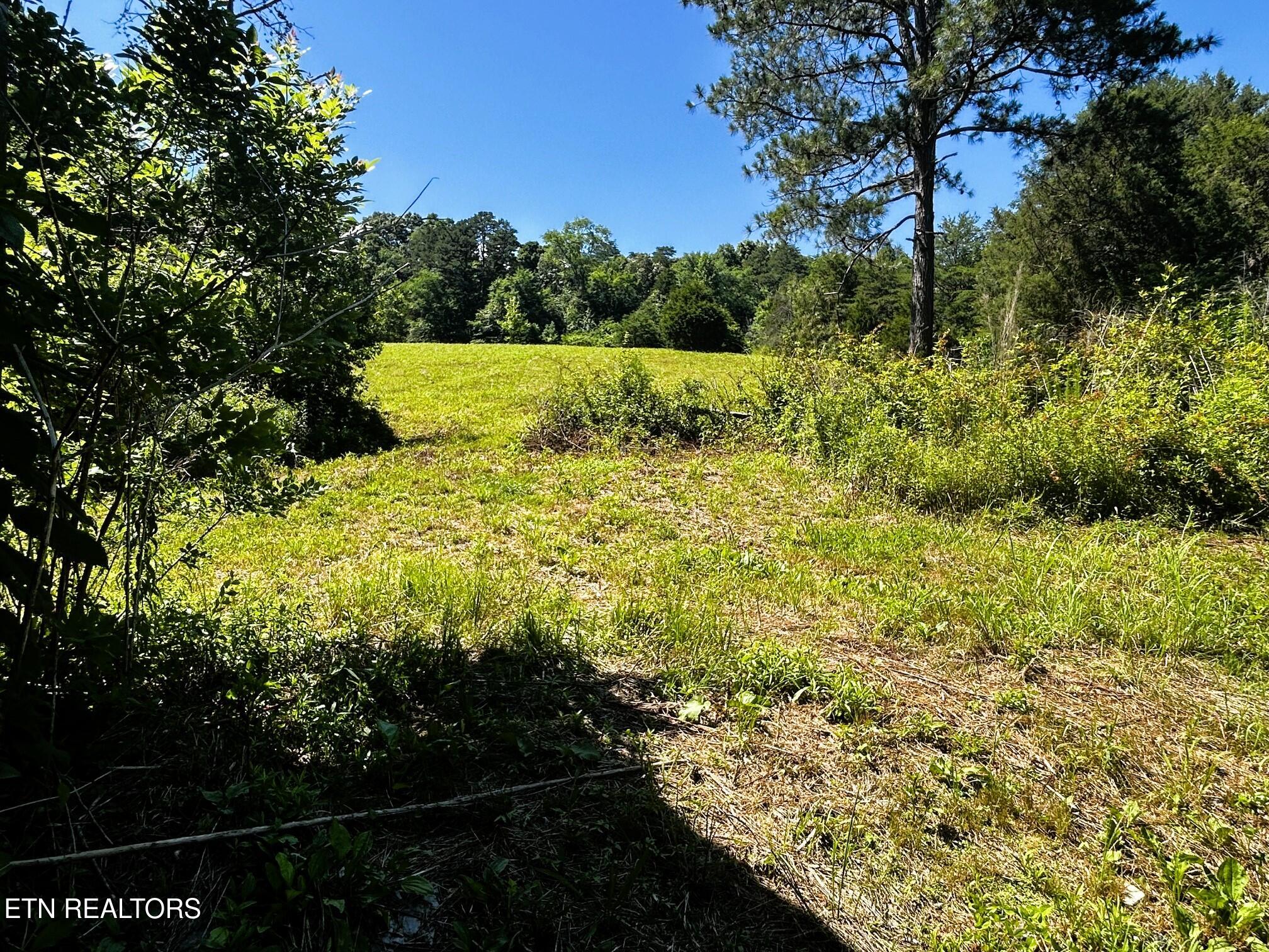 1060 County Road 130 Riceville TN 37370