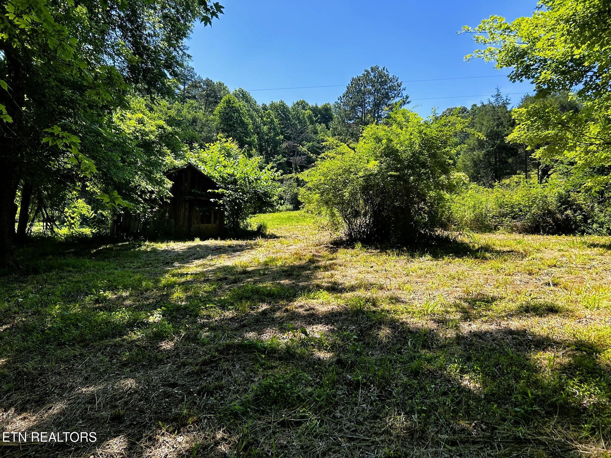 1060 County Road 130 Riceville TN 37370
