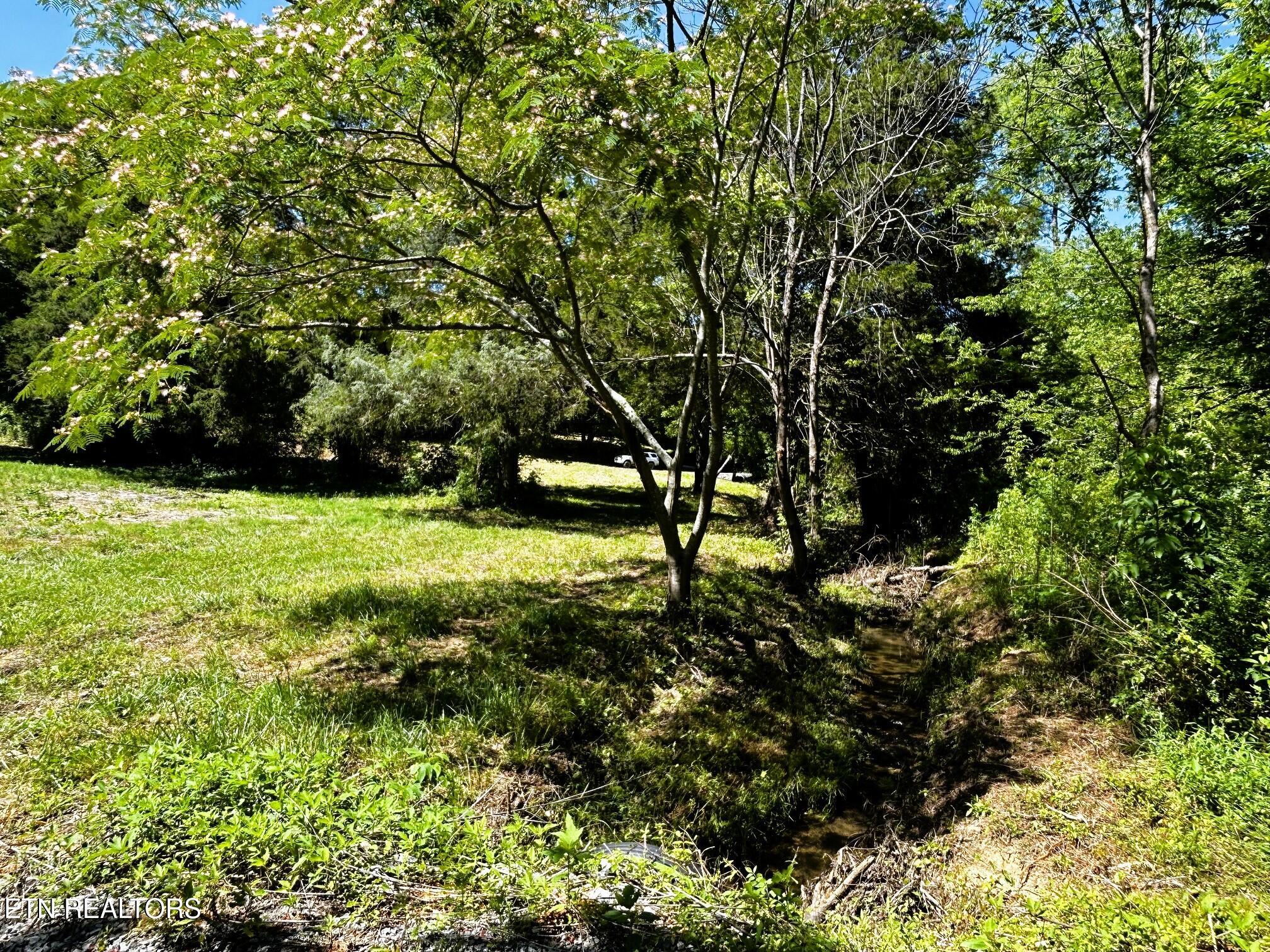 1060 County Road 130 Riceville TN 37370